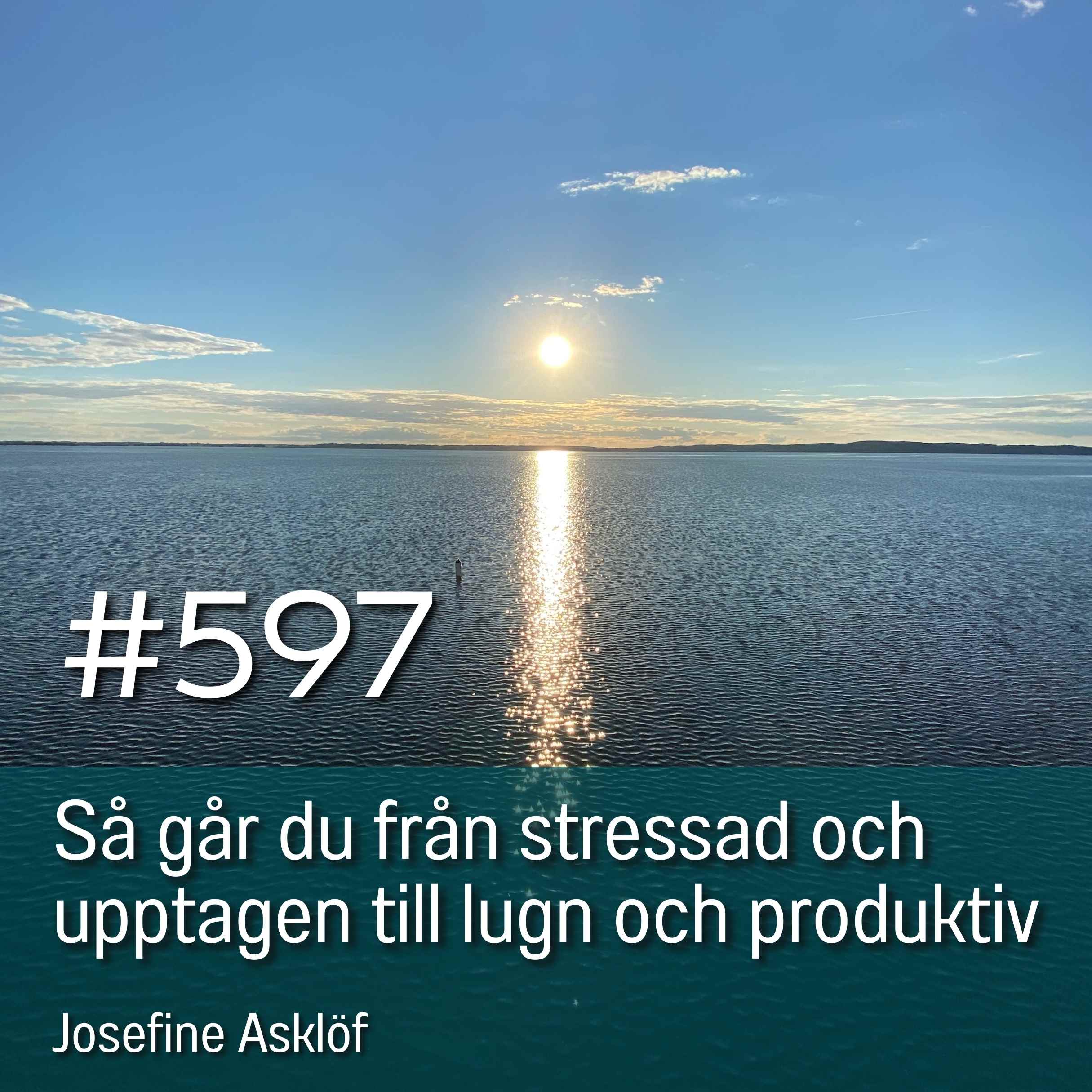 597 Så går du från stressad och upptagen till lugn och produktiv