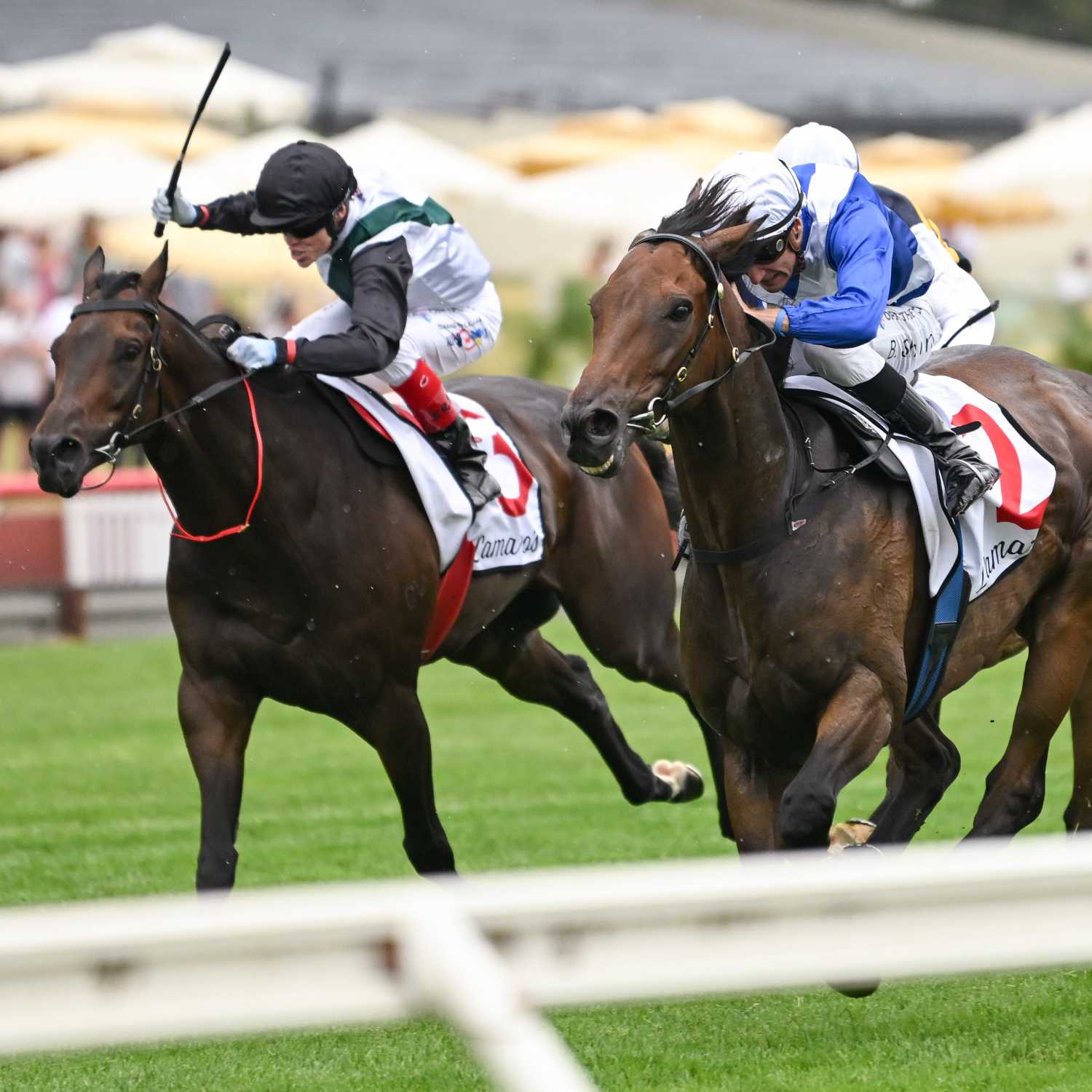 Memsie Stakes Day Preview