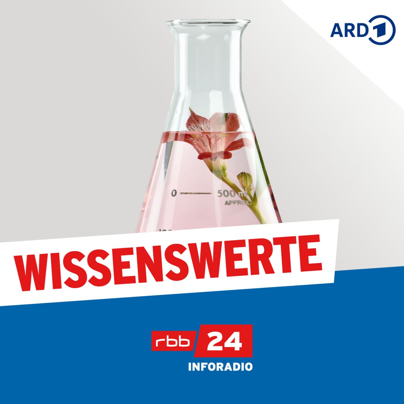 Wissenswerte 