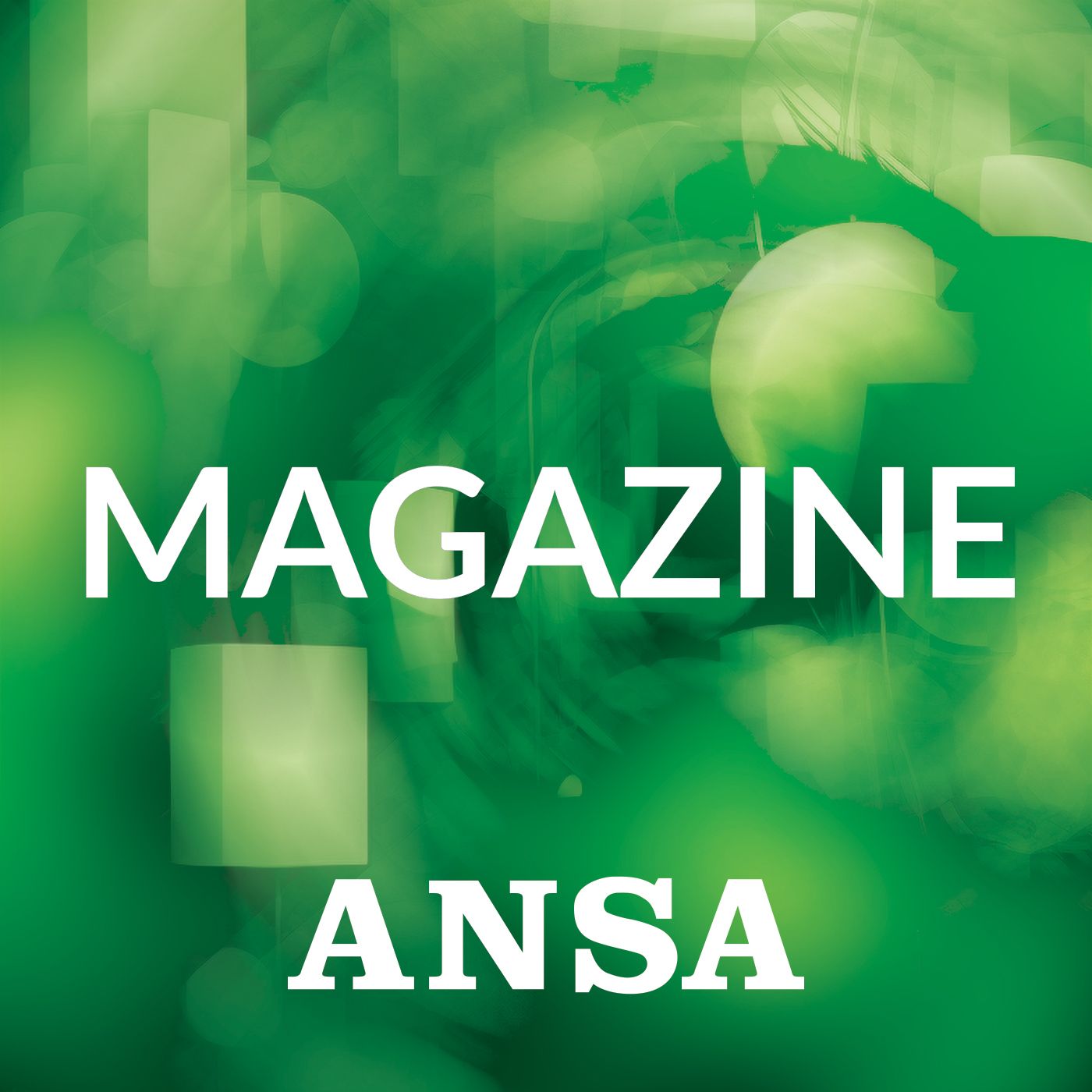 ANSA Voice magazine 