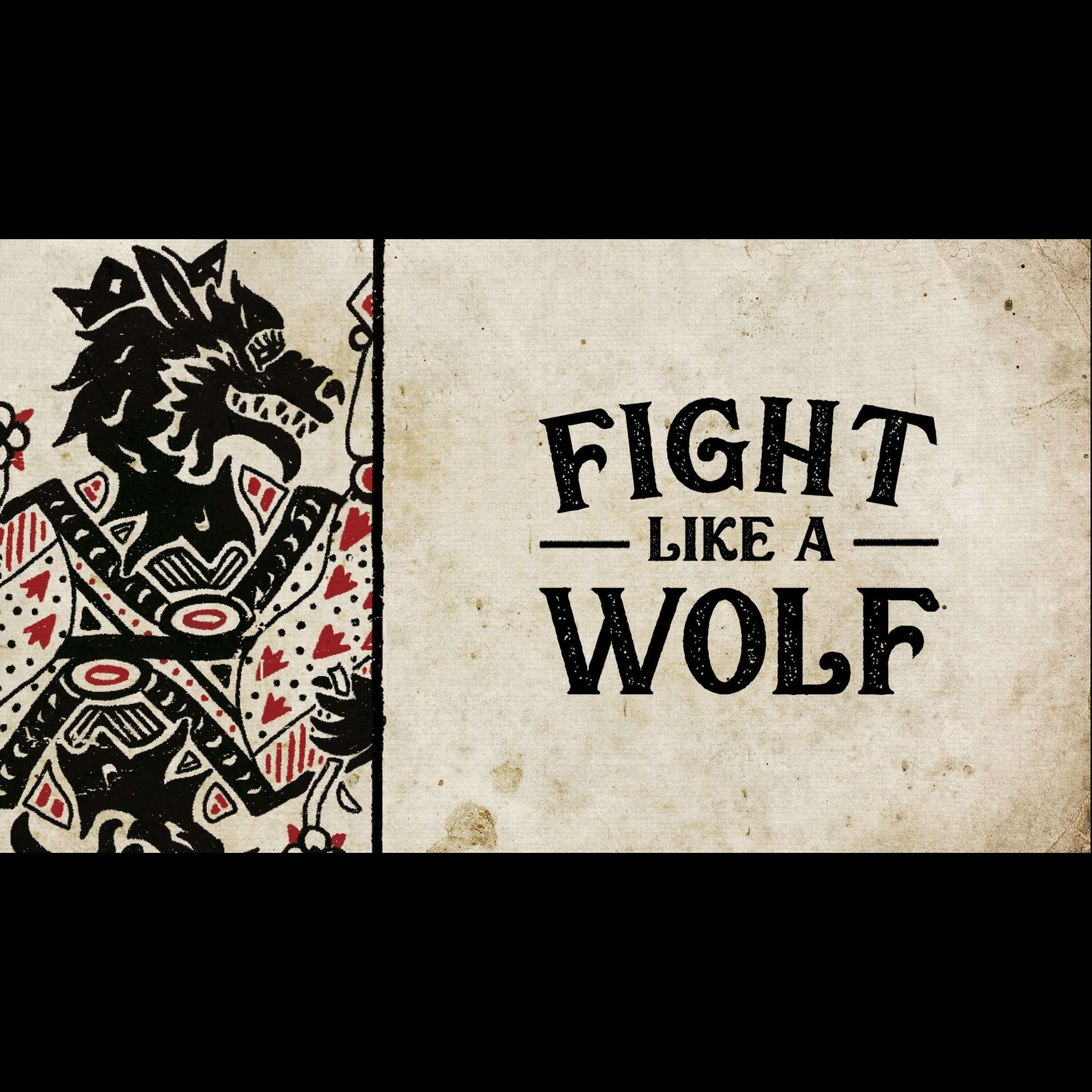 🔥 Fight Like A Wolf | I Declare War Sermon Series | Pastor Levi Lusko 🔥