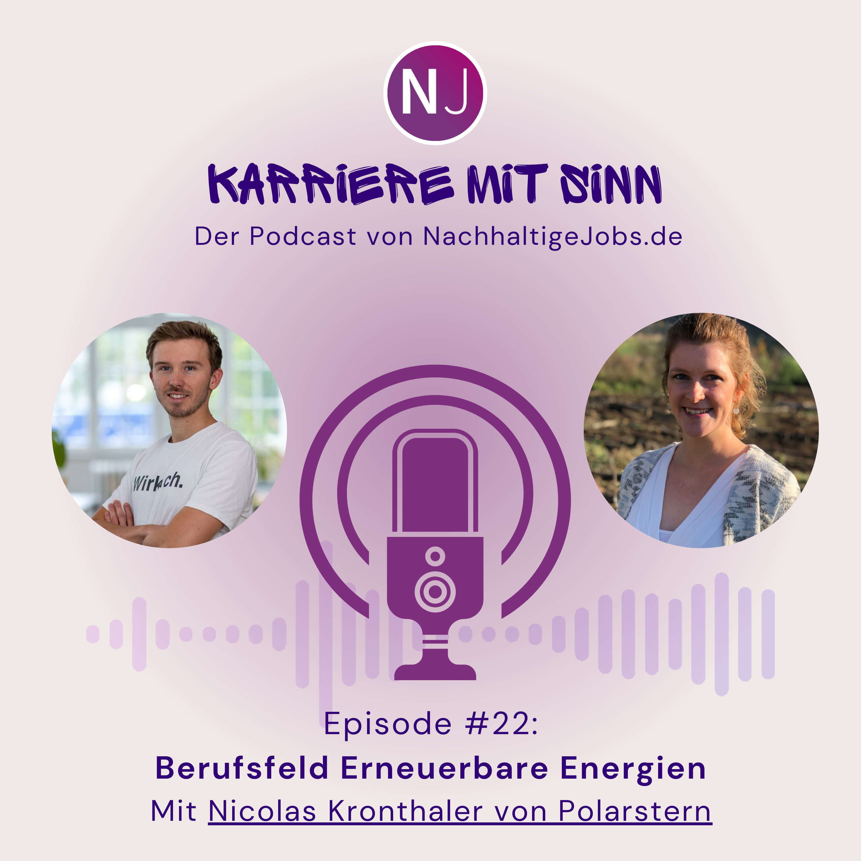 Berufsfeld Erneuerbare Energien: Interview mit Nicolas Kronthaler, Projektmanager bei Polarstern