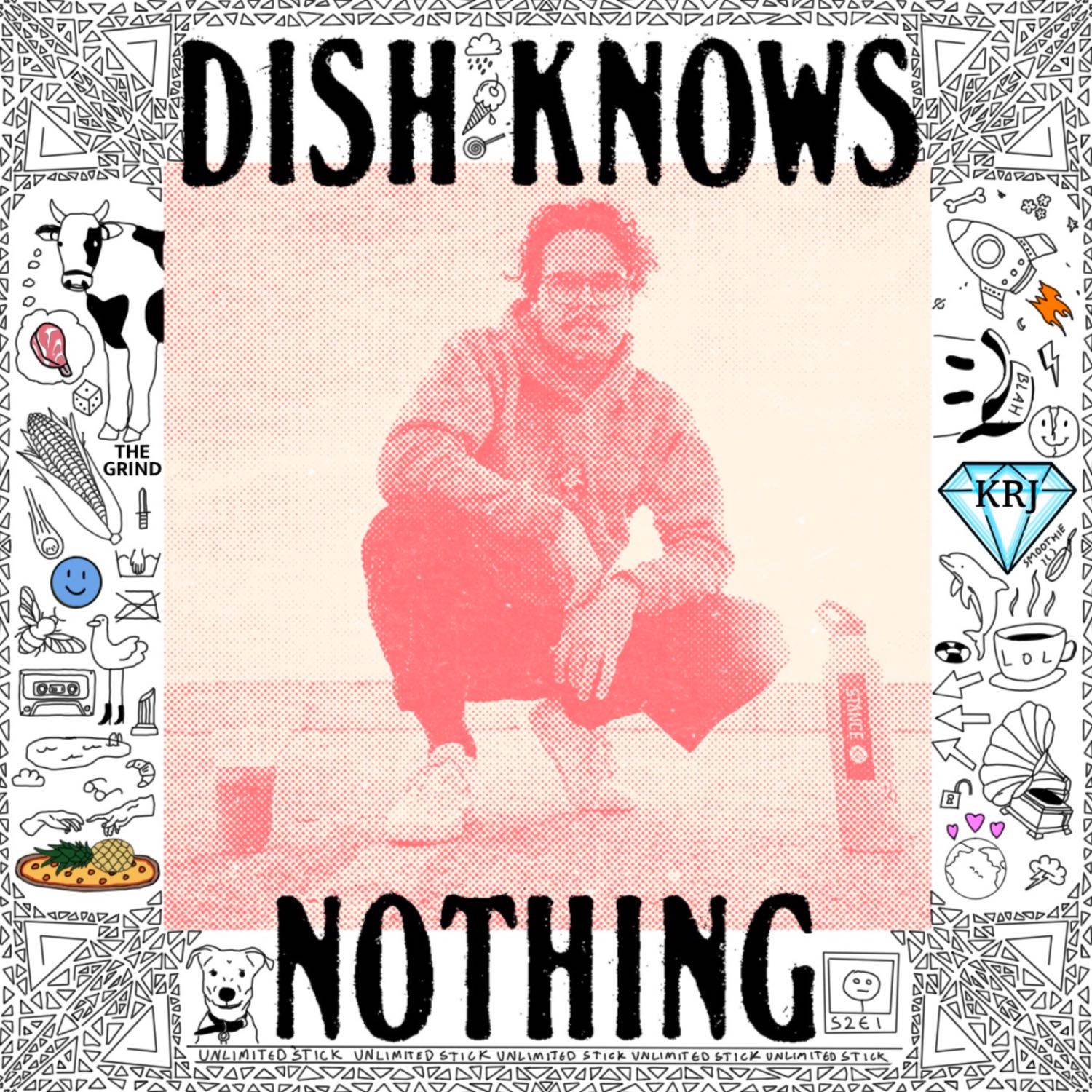 Dish Knows Nothing 