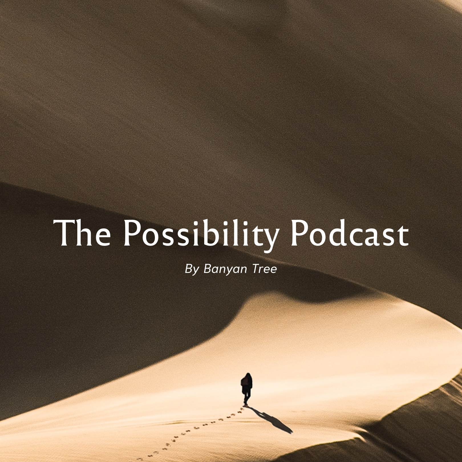 The Possibility Podcast 