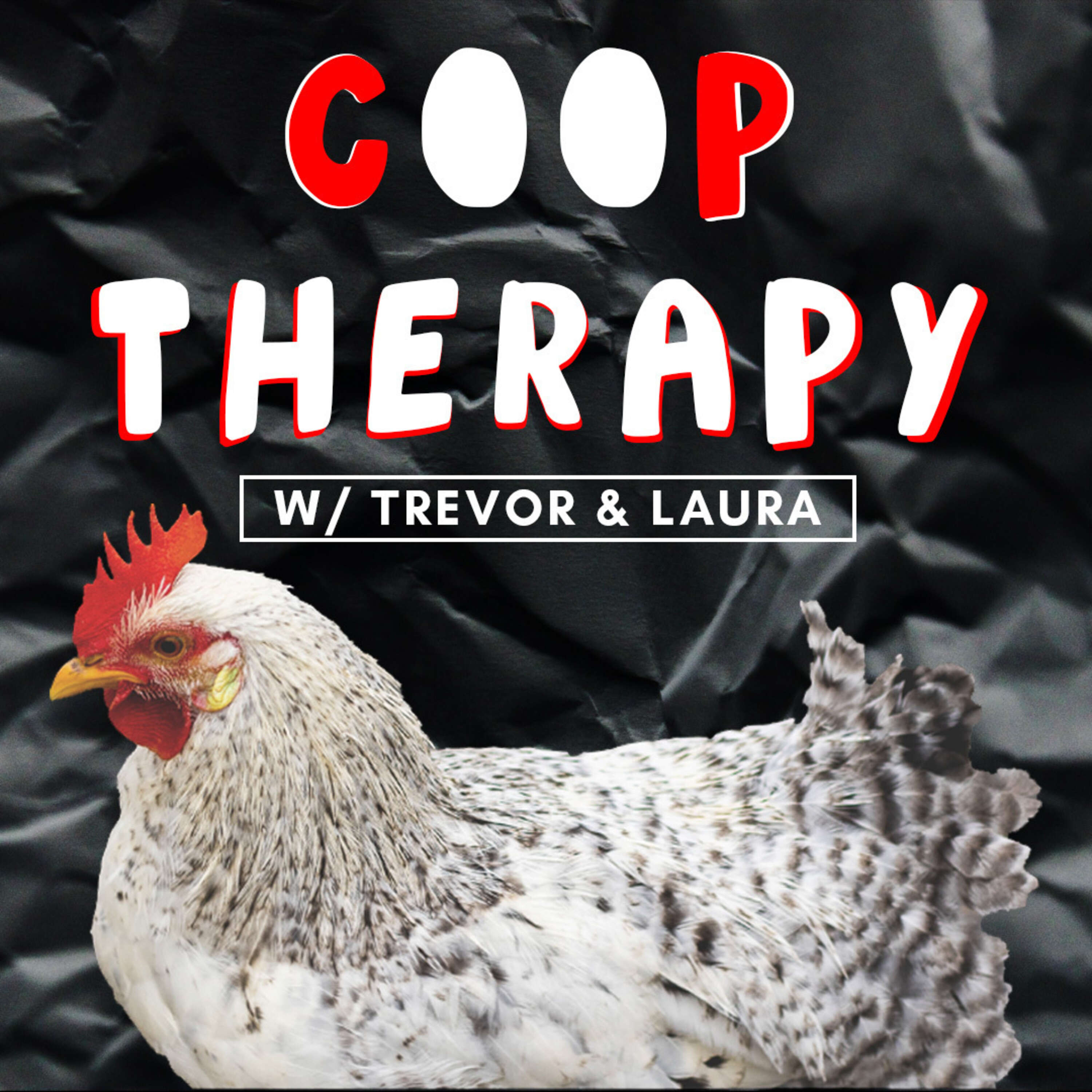 ⁣Back Door Trauma | COOP THERAPY #27