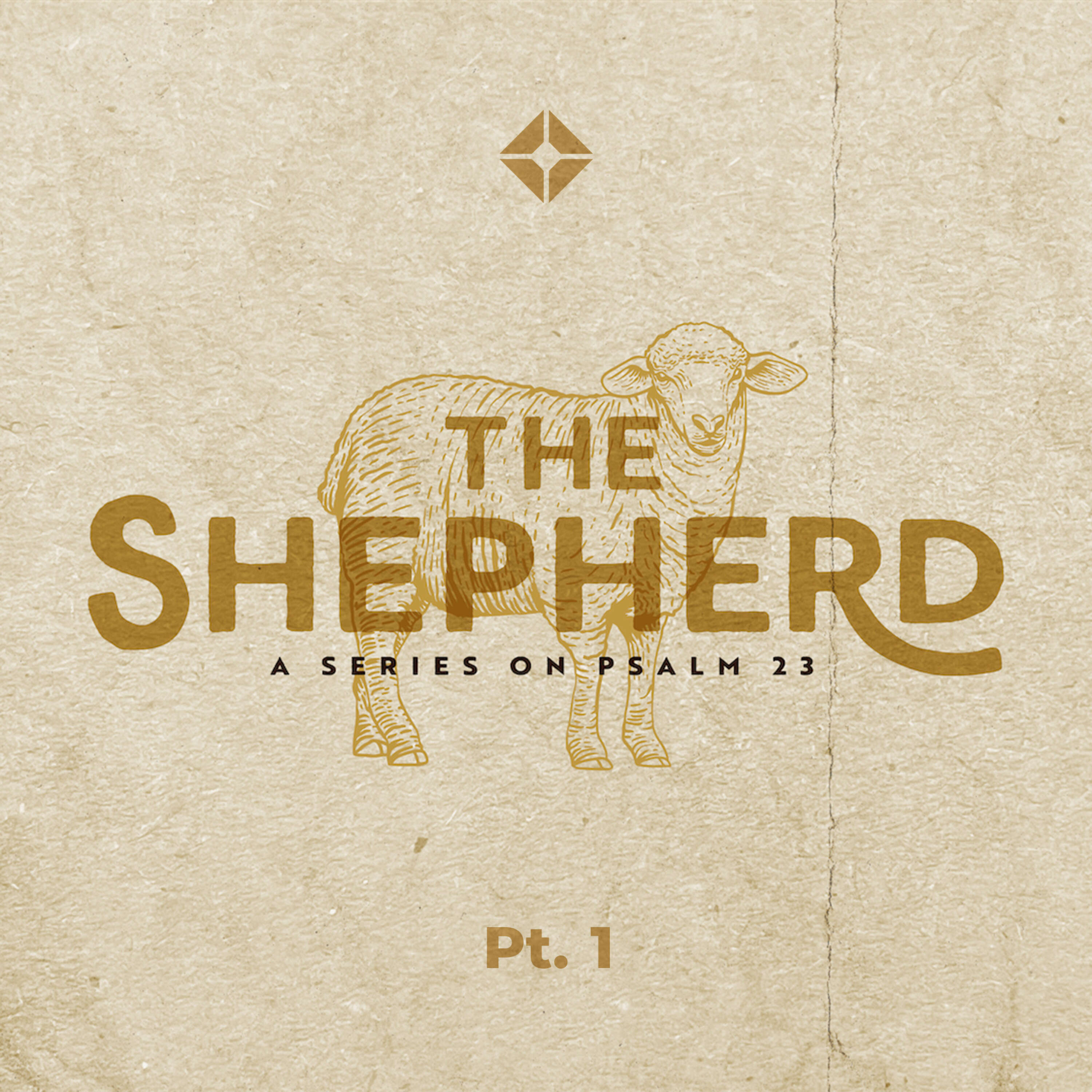 The Shepherd | Pt. 1 | Shawn Chandler