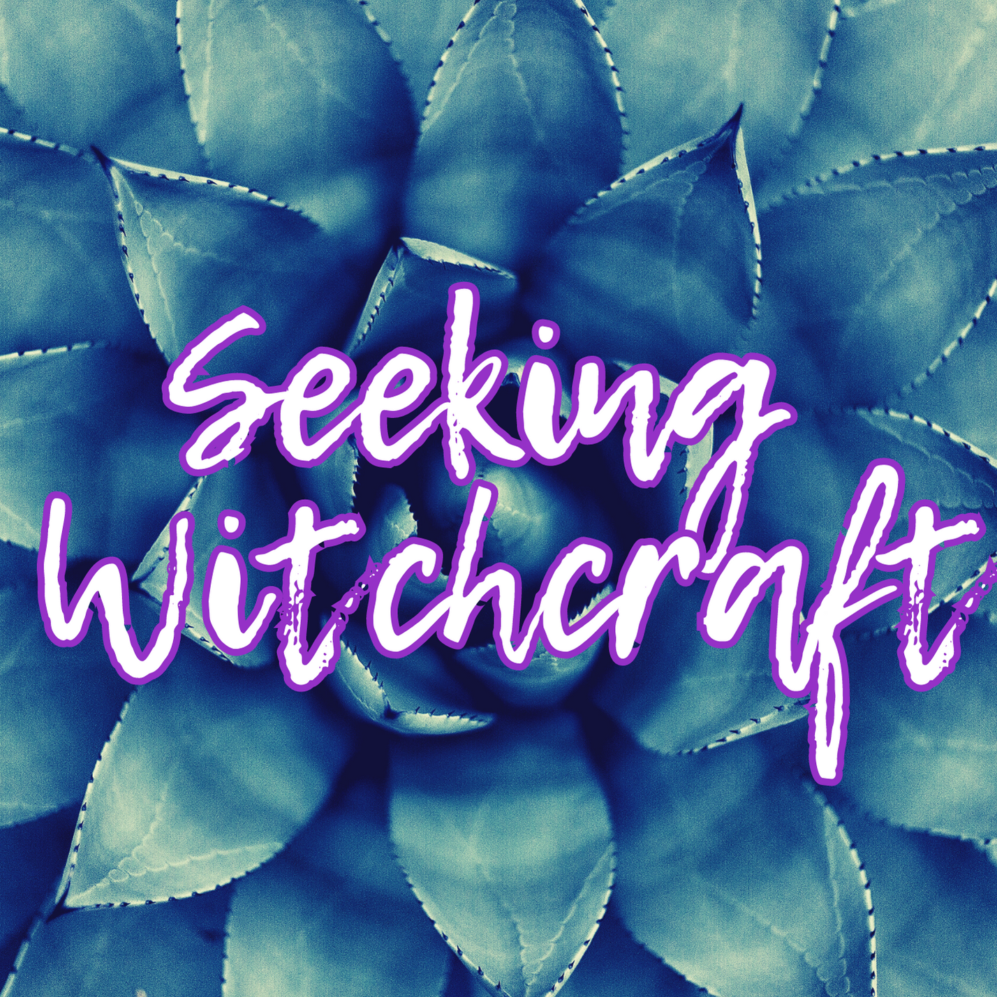 Seeking Witchcraft 