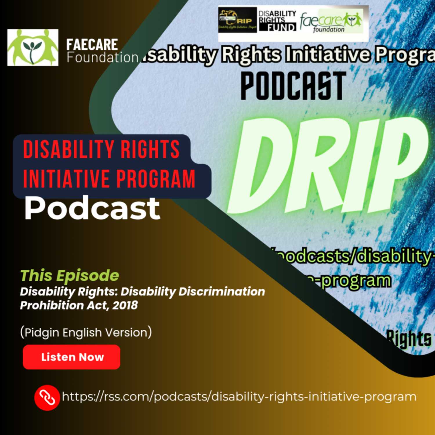 ⁣Disability Rights: Disability Discrimination (Prohibition) Act