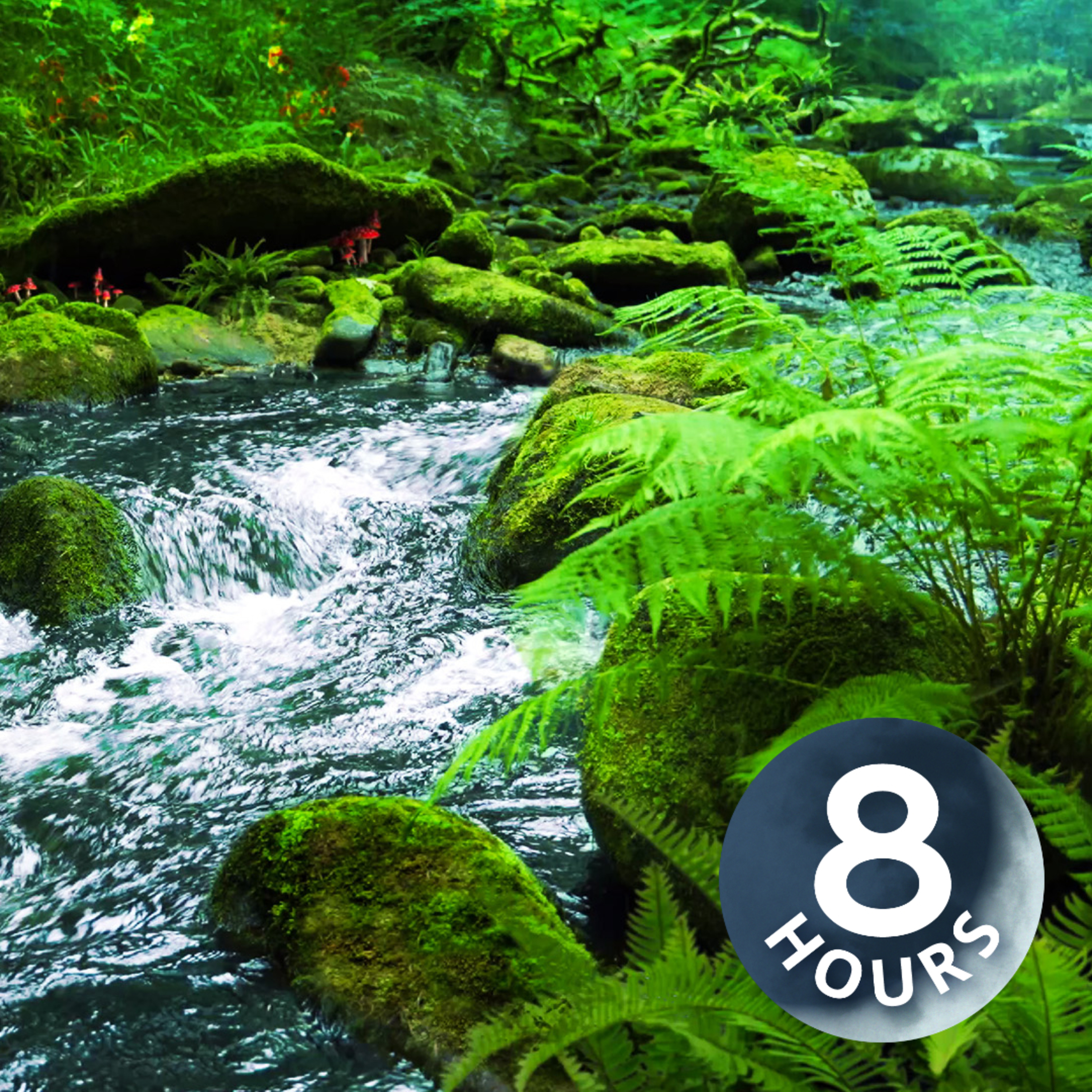 Rain + River in Enchanted Woods 8 Hours | Sleep, Study or Relax!