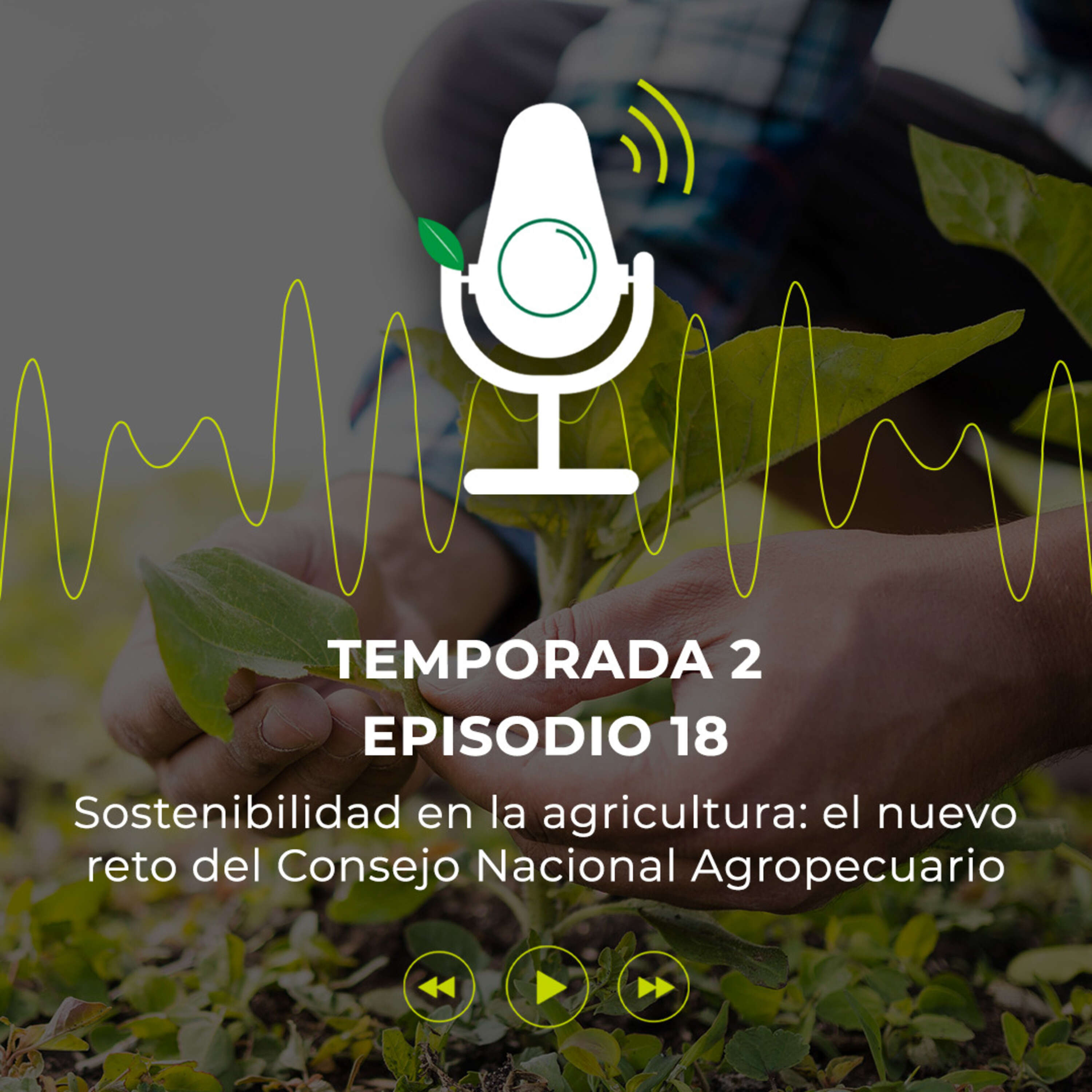 ⁣La sostenibilidad en la agricultura: el nuevo reto del Consejo Nacional Agropecuario