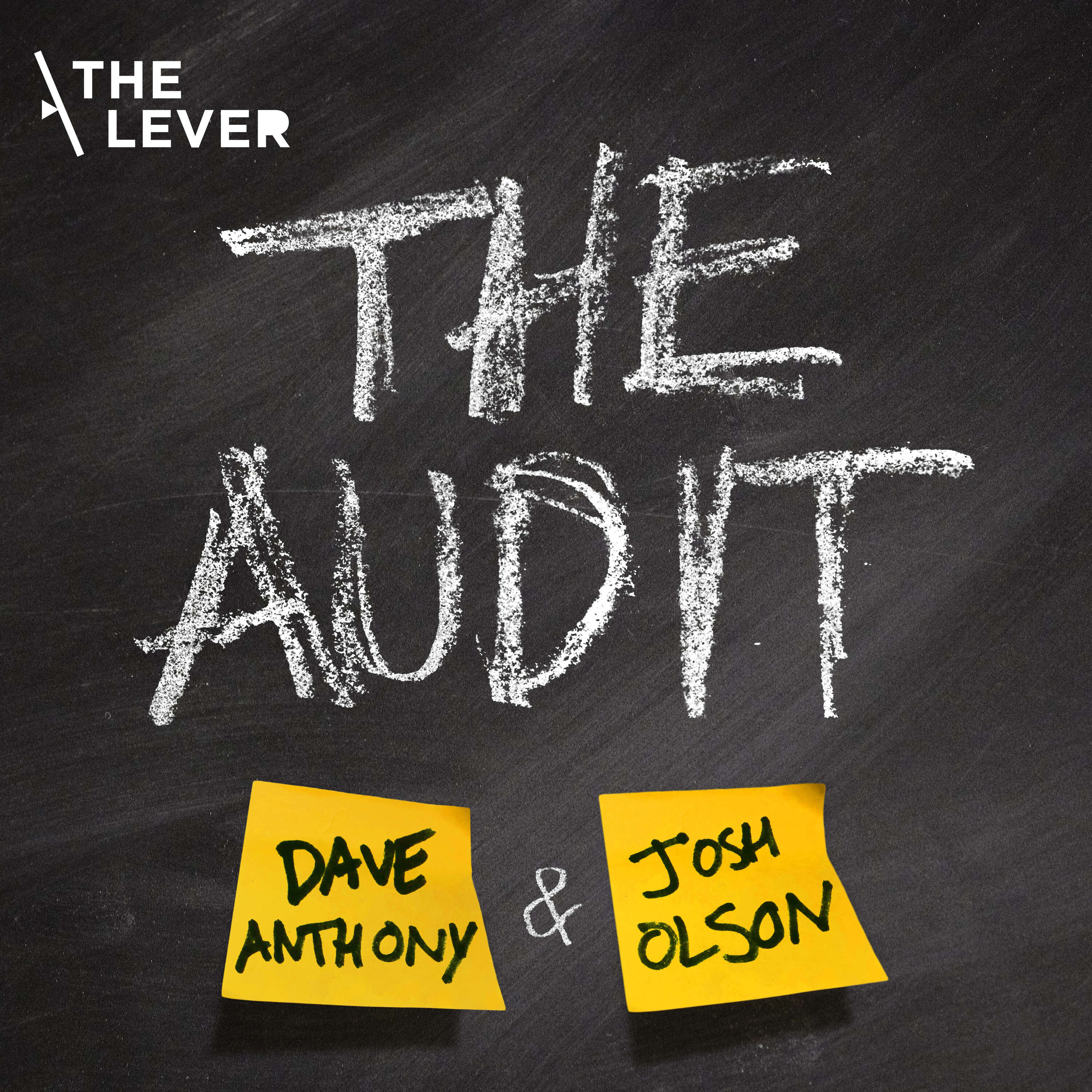 The Audit 