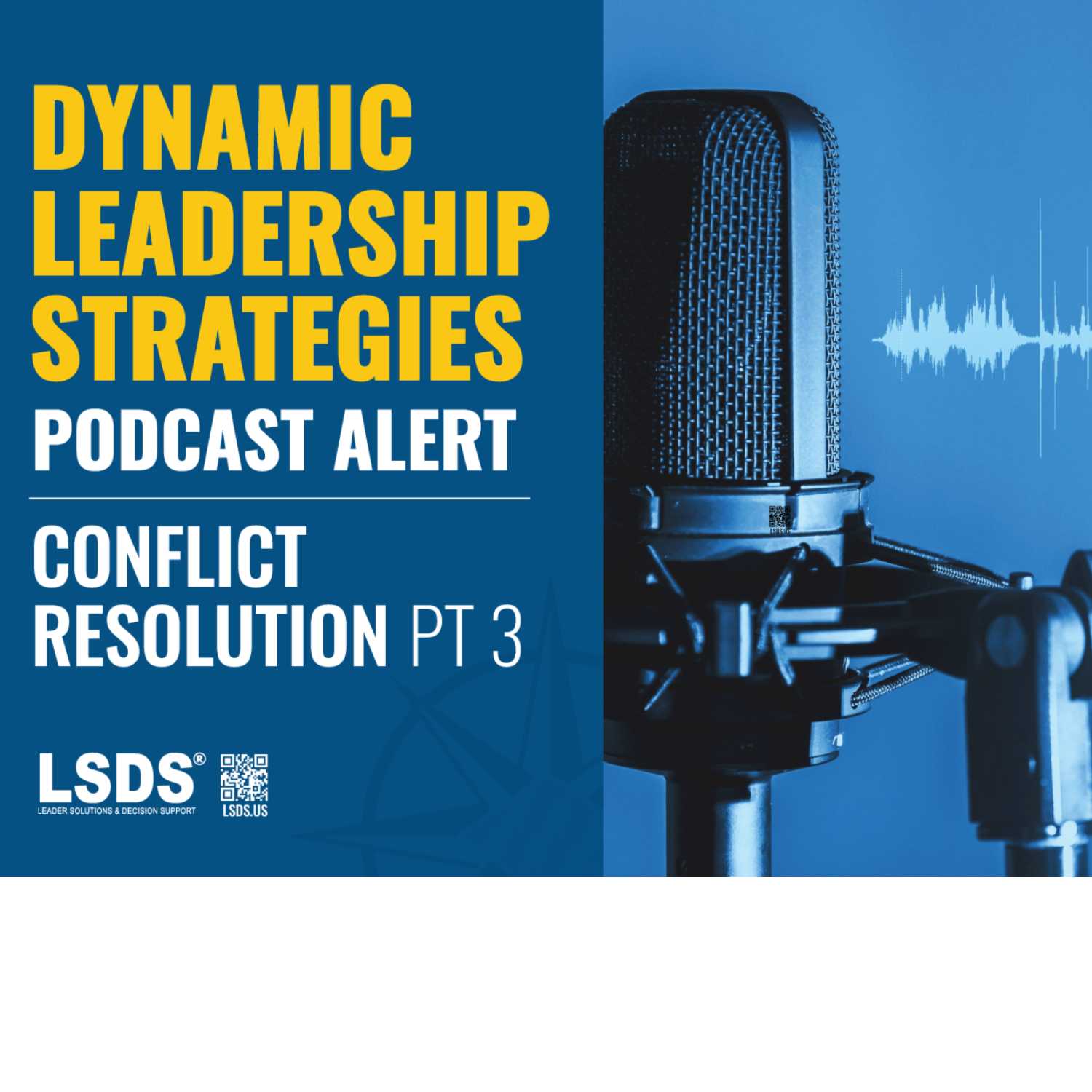 Dynamic Leadership Strategies: Conflict Resolution Series- Finale