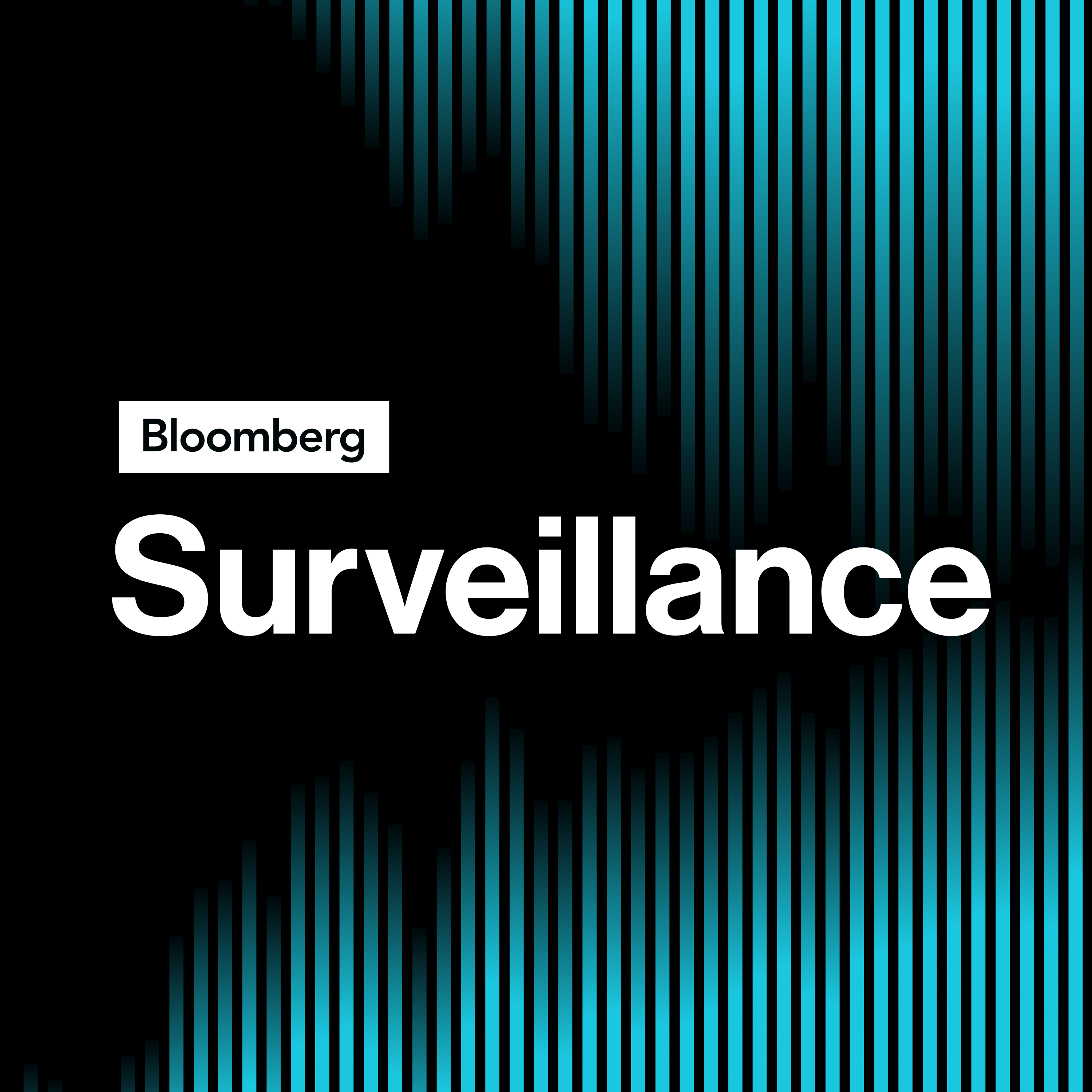 ⁣Surveillance: US Fragmentation with Peterson