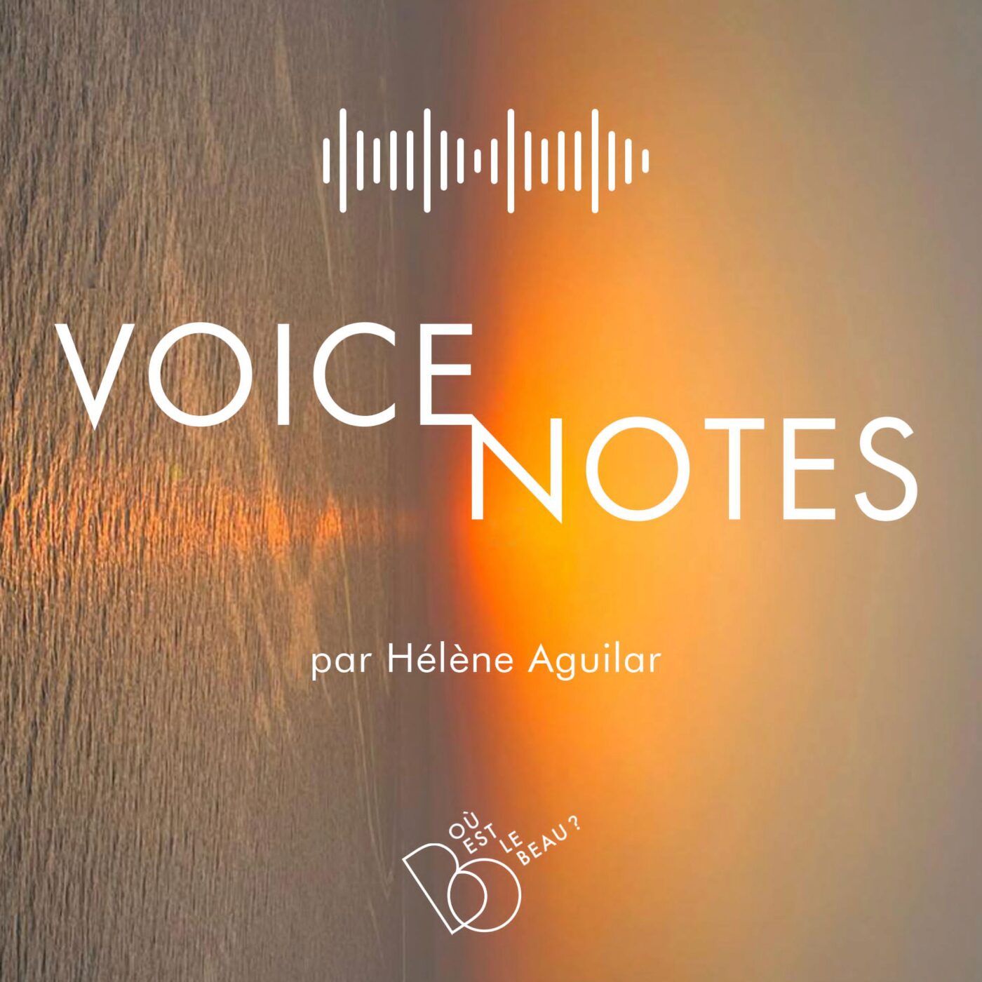 ⁣Voice Note #9 - Partage de ce qui manquait pour moi au film "Les algues vertes"