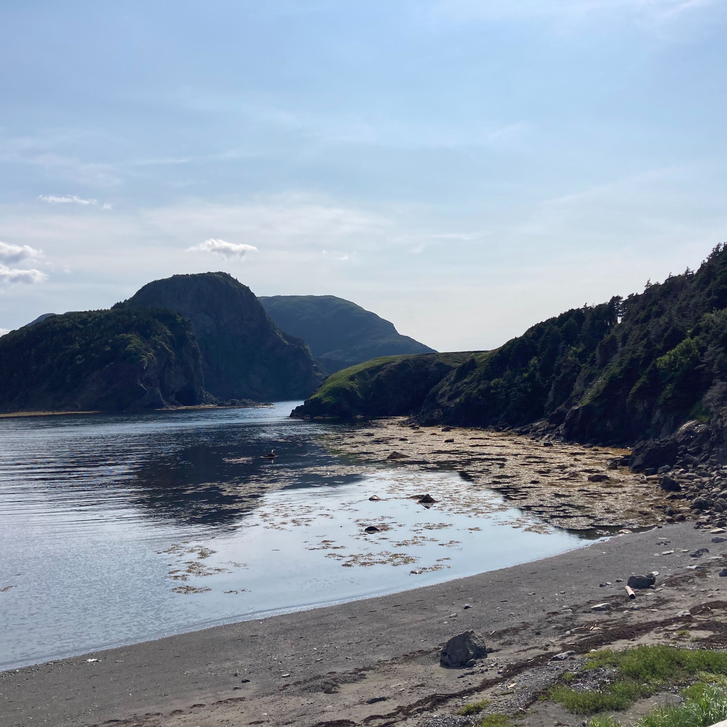 Meander with Sound: A Walk on the Beach in Newfoundland