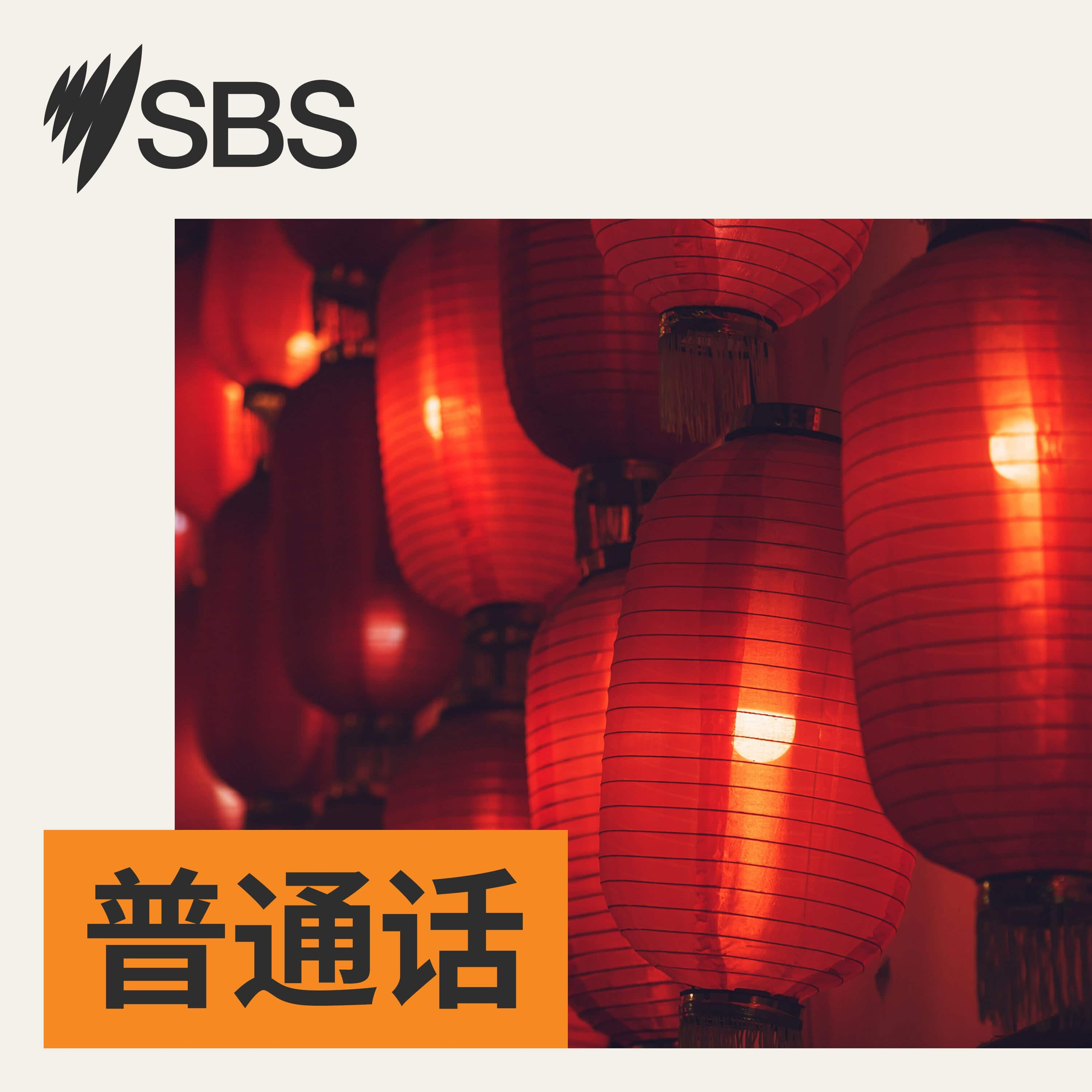 SBS早新闻（2023年8月8日）