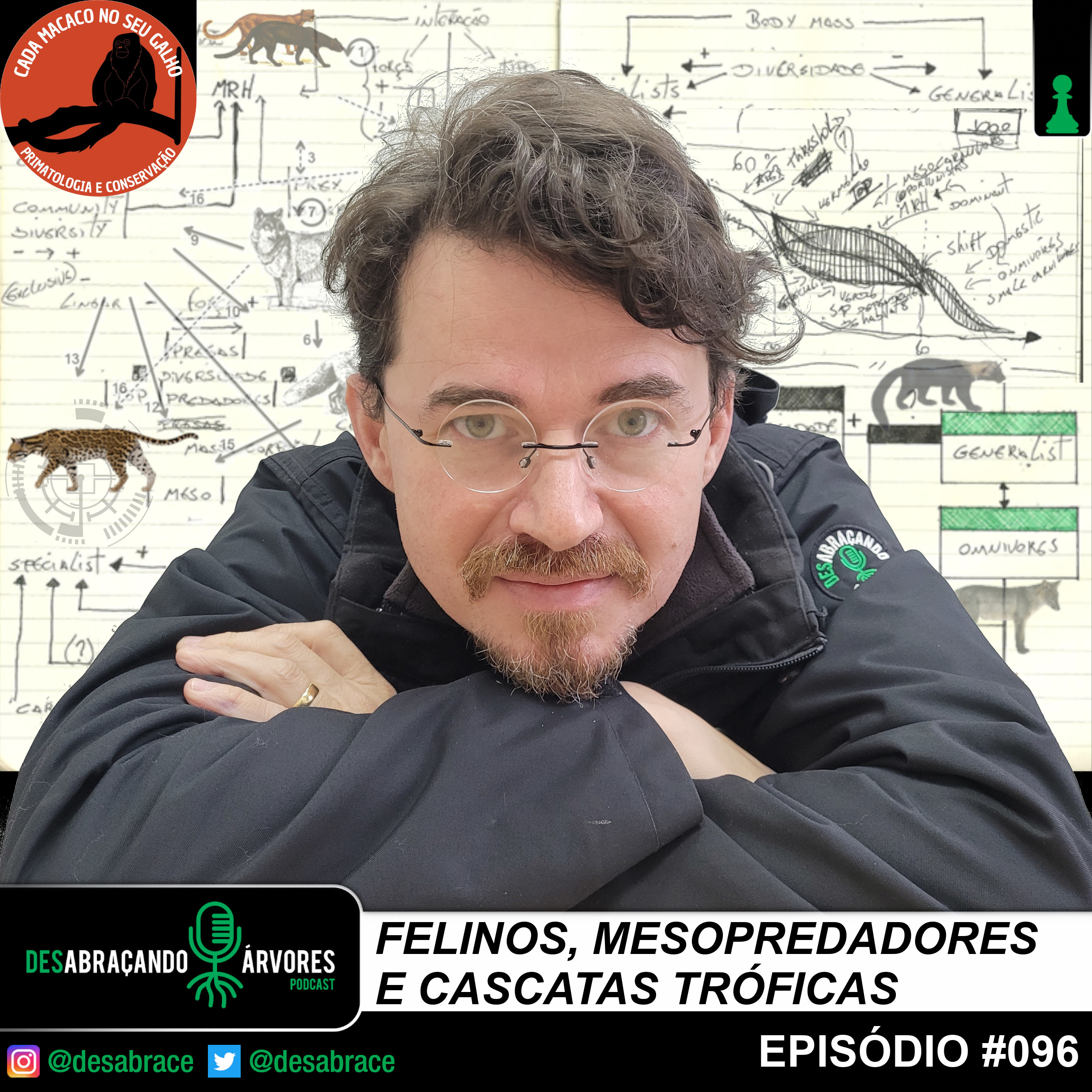 #valeAPenaOuvirDeNovo – Felinos, mesopredadores e cascatas tróficas