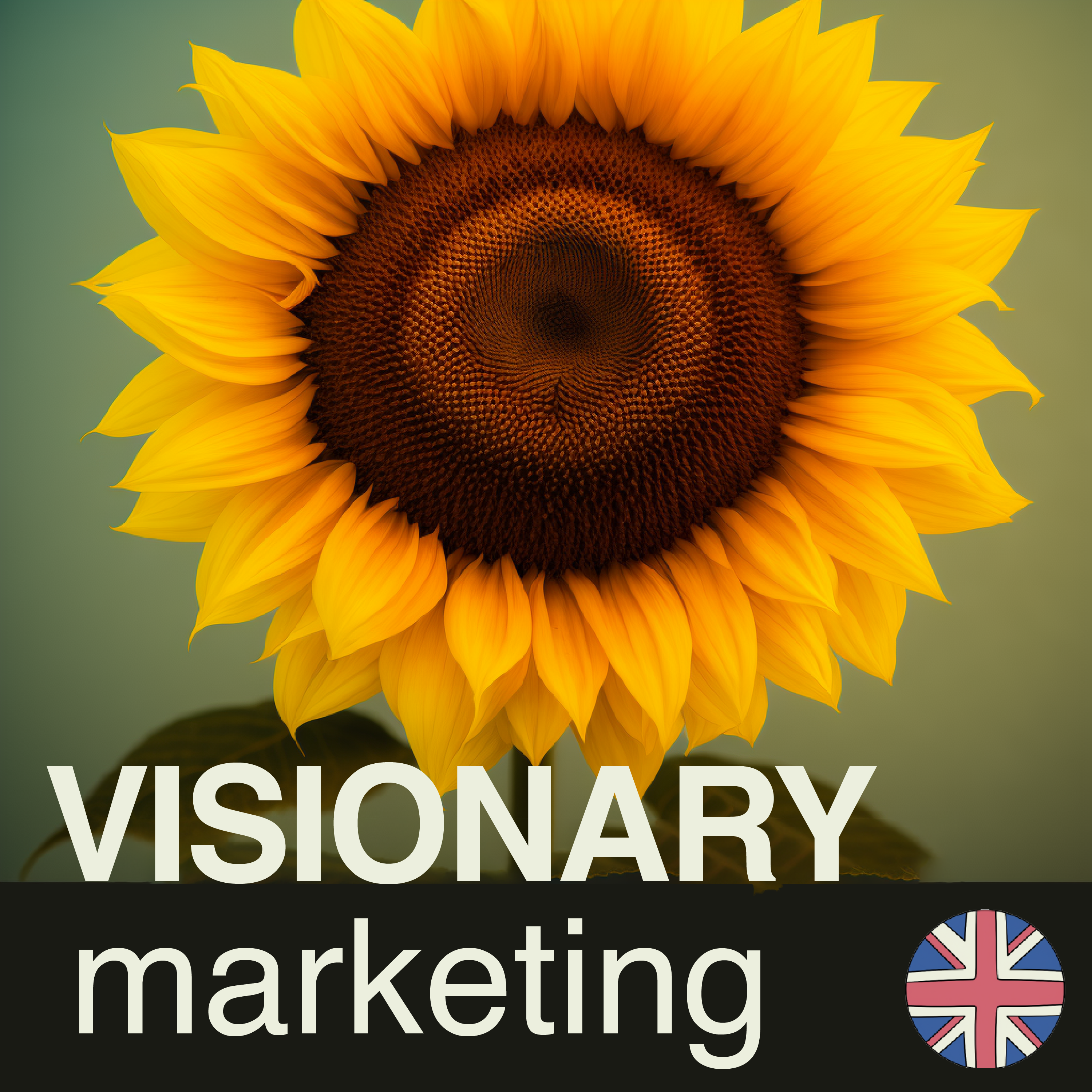 English language Visionary Marketing Podcasts 