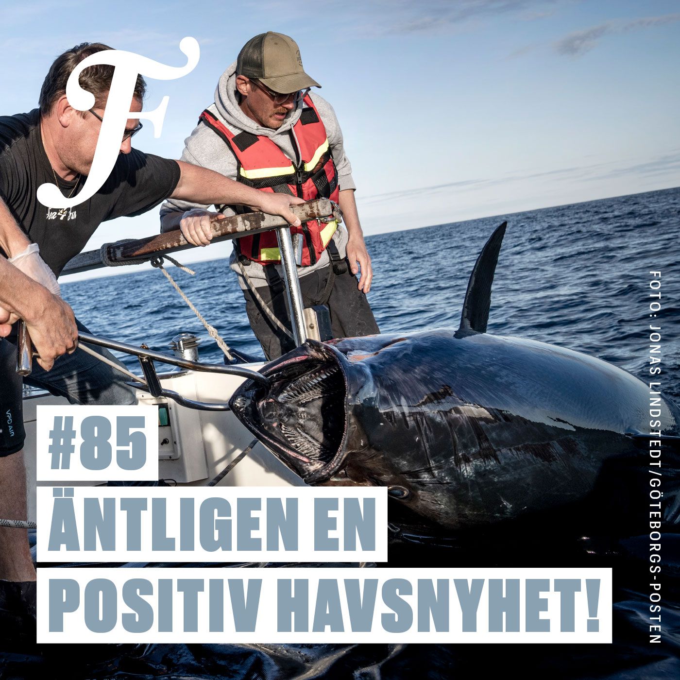 #85 Äntligen en positiv havsnyhet!