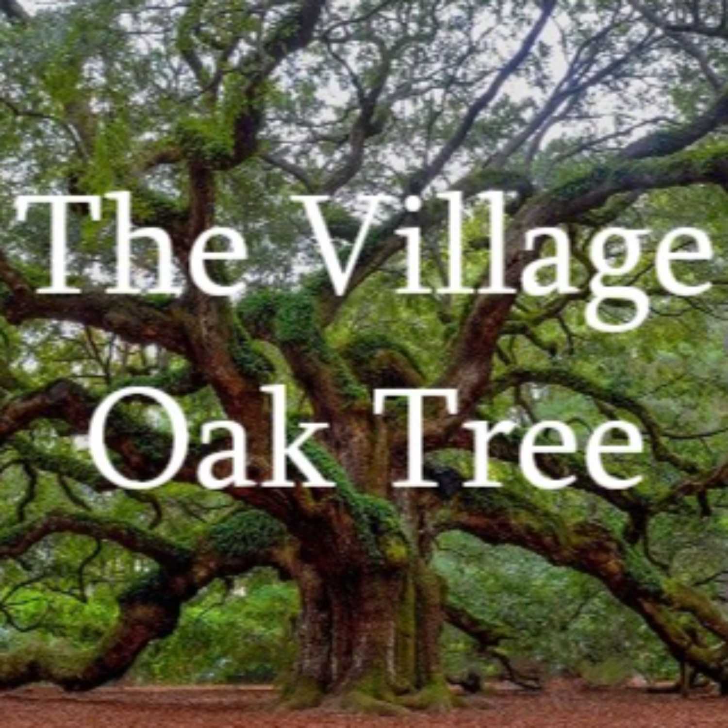 The Village Oak Tree