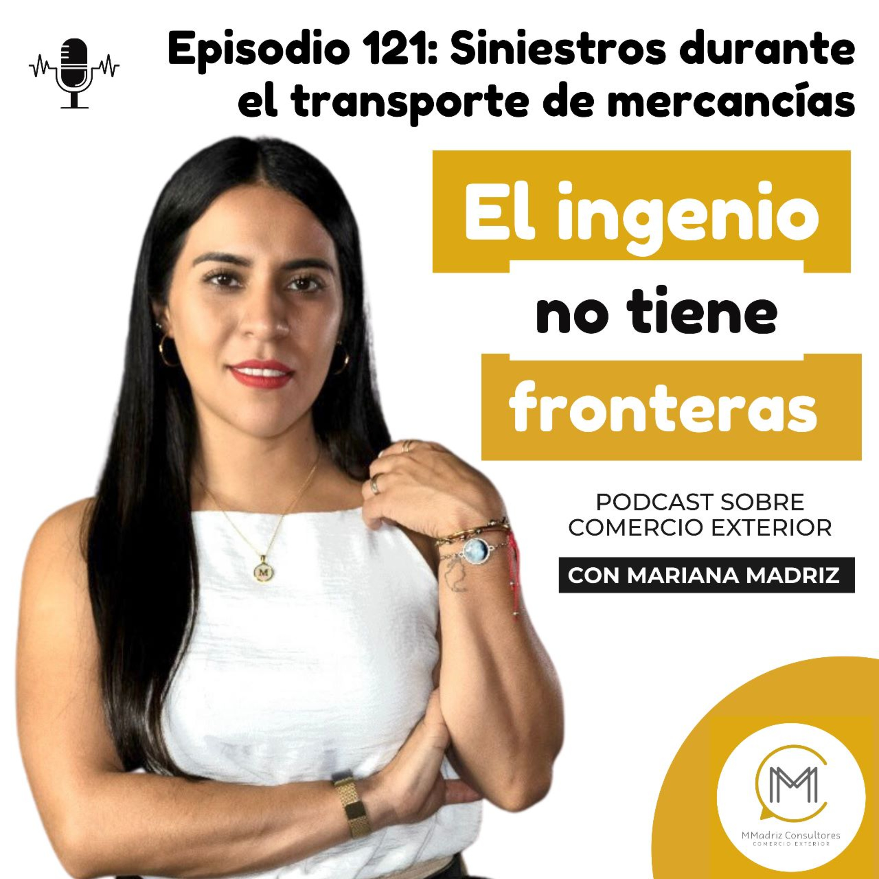 ⁣Siniestros durante el transporte de mercancías - Episodio 121