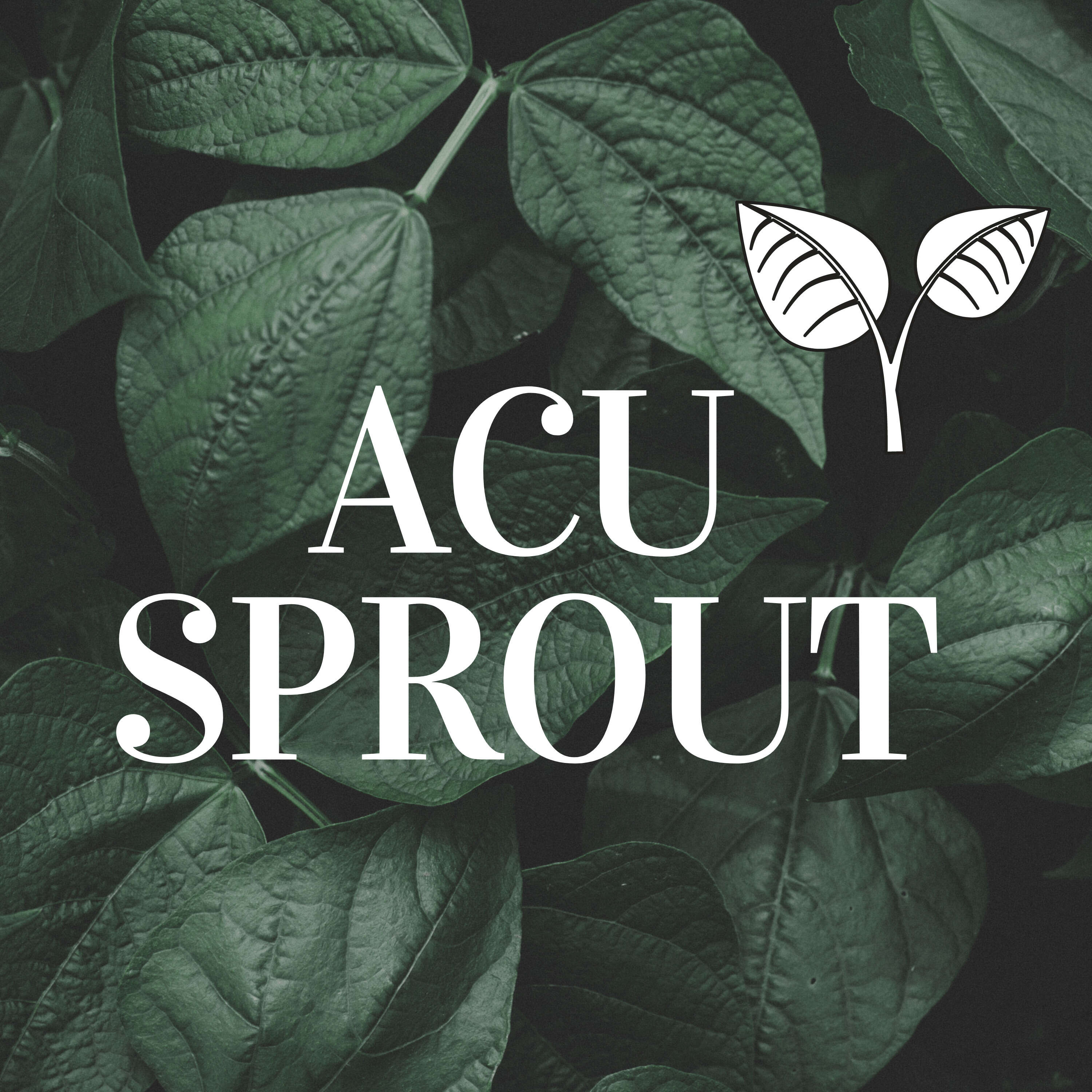 AcuSprout: Acupuncture Podcast 