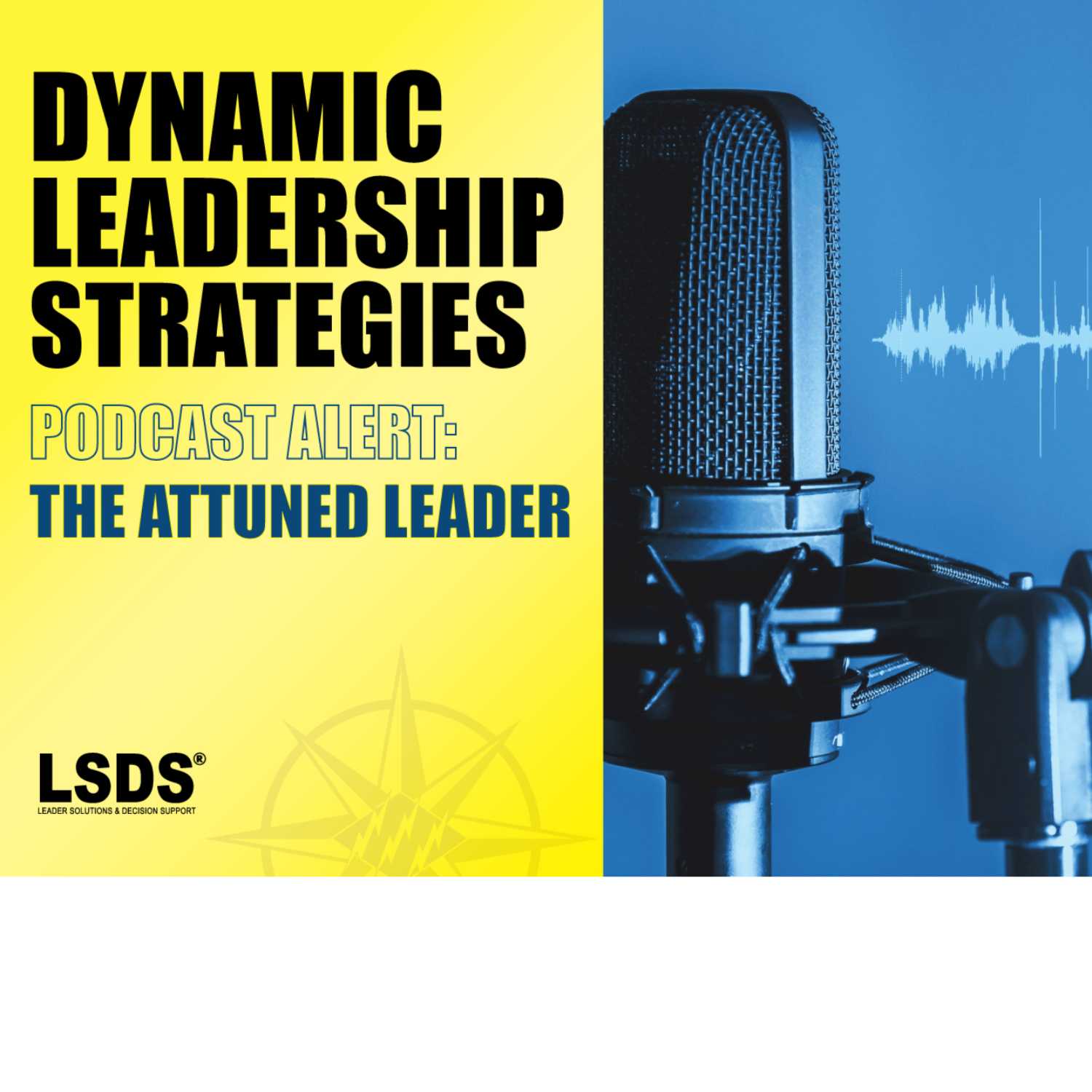 ⁣ Dynamic Leadership Strategies: The Attuned Leader