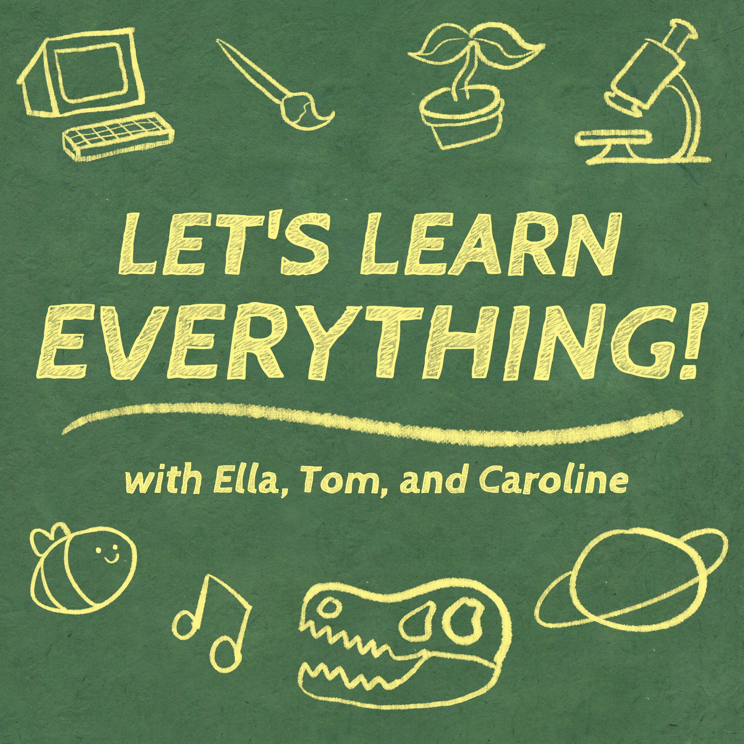 44: Katie Goldin & Alex Schmidt, Space Birds, and the Bison Emoji 🦬