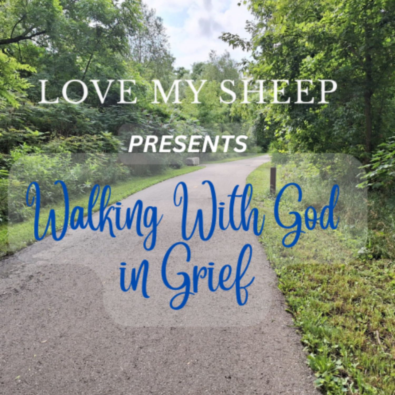 Walking With God in Grief - Distractions (Season Finale)