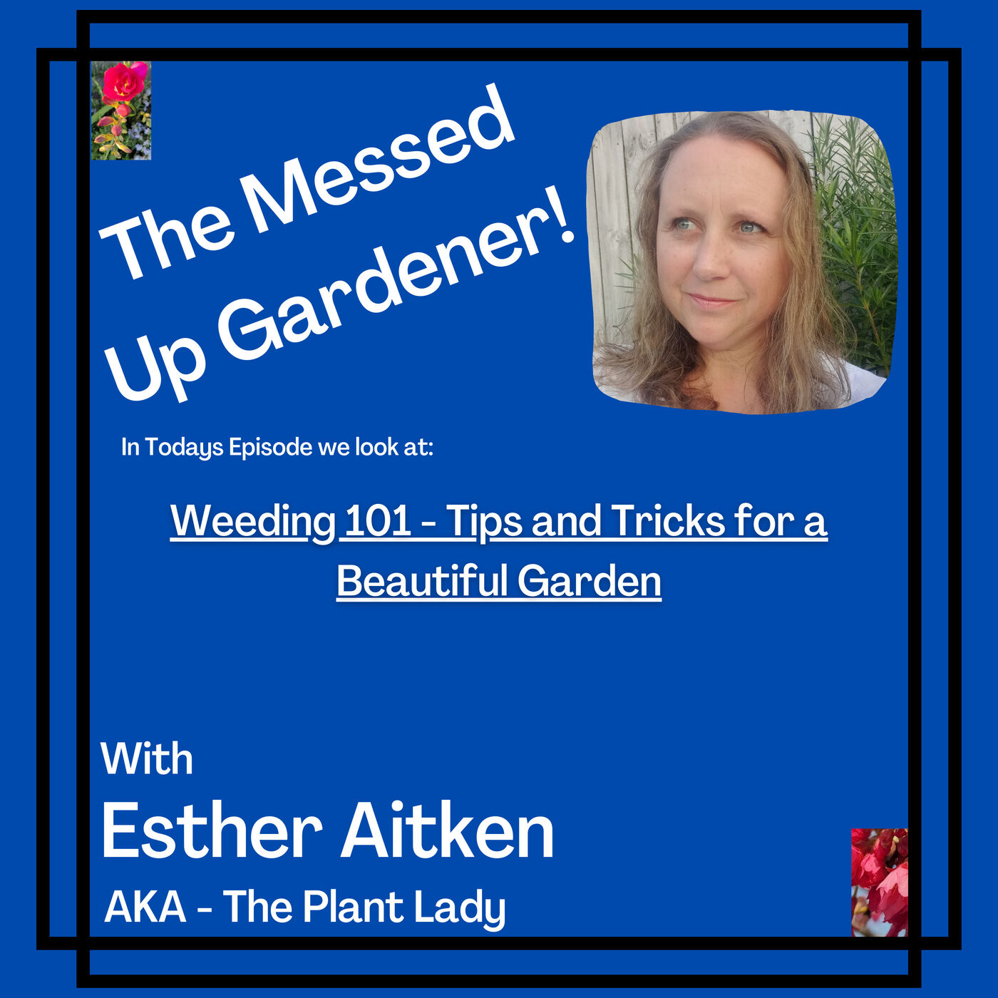 Ep 40 - Weeding 101 - Tips and Tricks for a Beautiful Garden