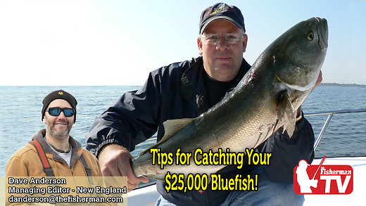 August 24th 2023 New England Video Fishing Forecast with Dave Anderson