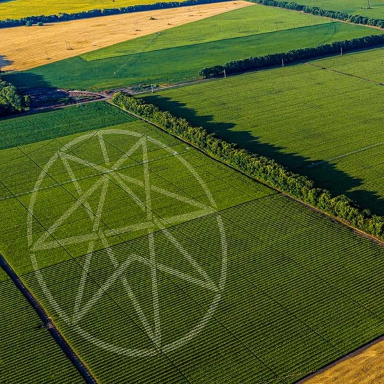 Crop Circles/Skinwalker Ranch Part 1 