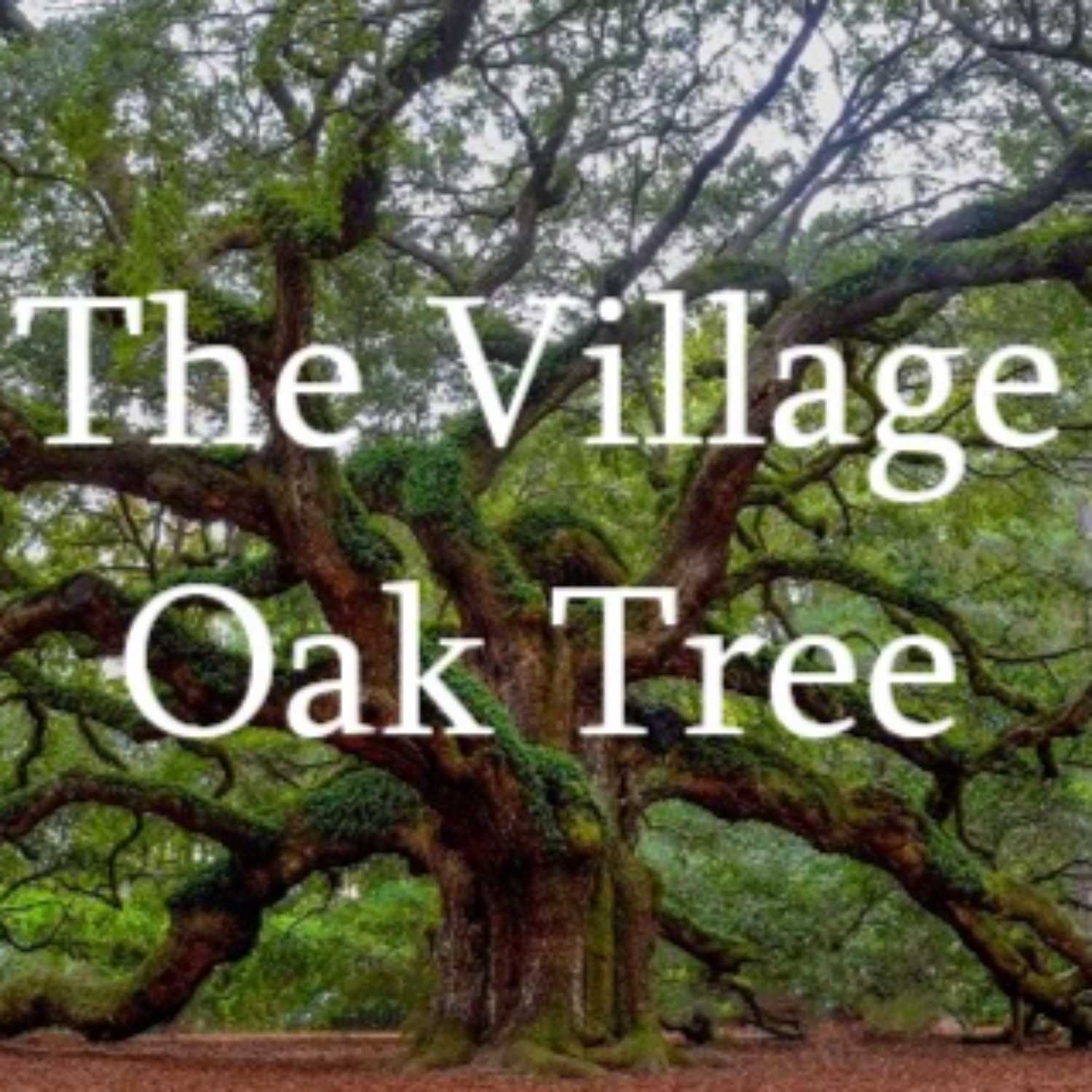 The Village Oak Tree for August 16th, 2023