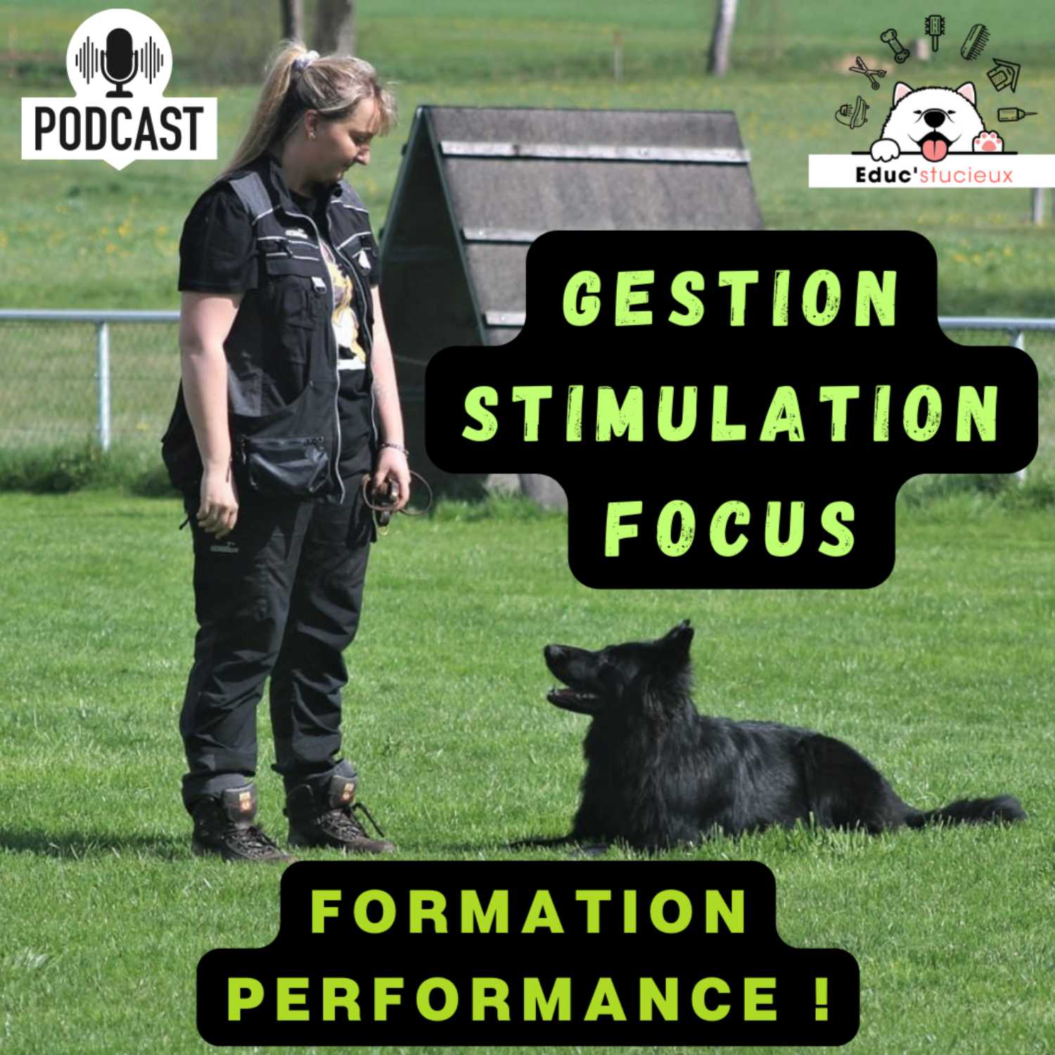 Formation Performance ! Gérez le focus et l'obéissance sous Hautes Stimulations ! 