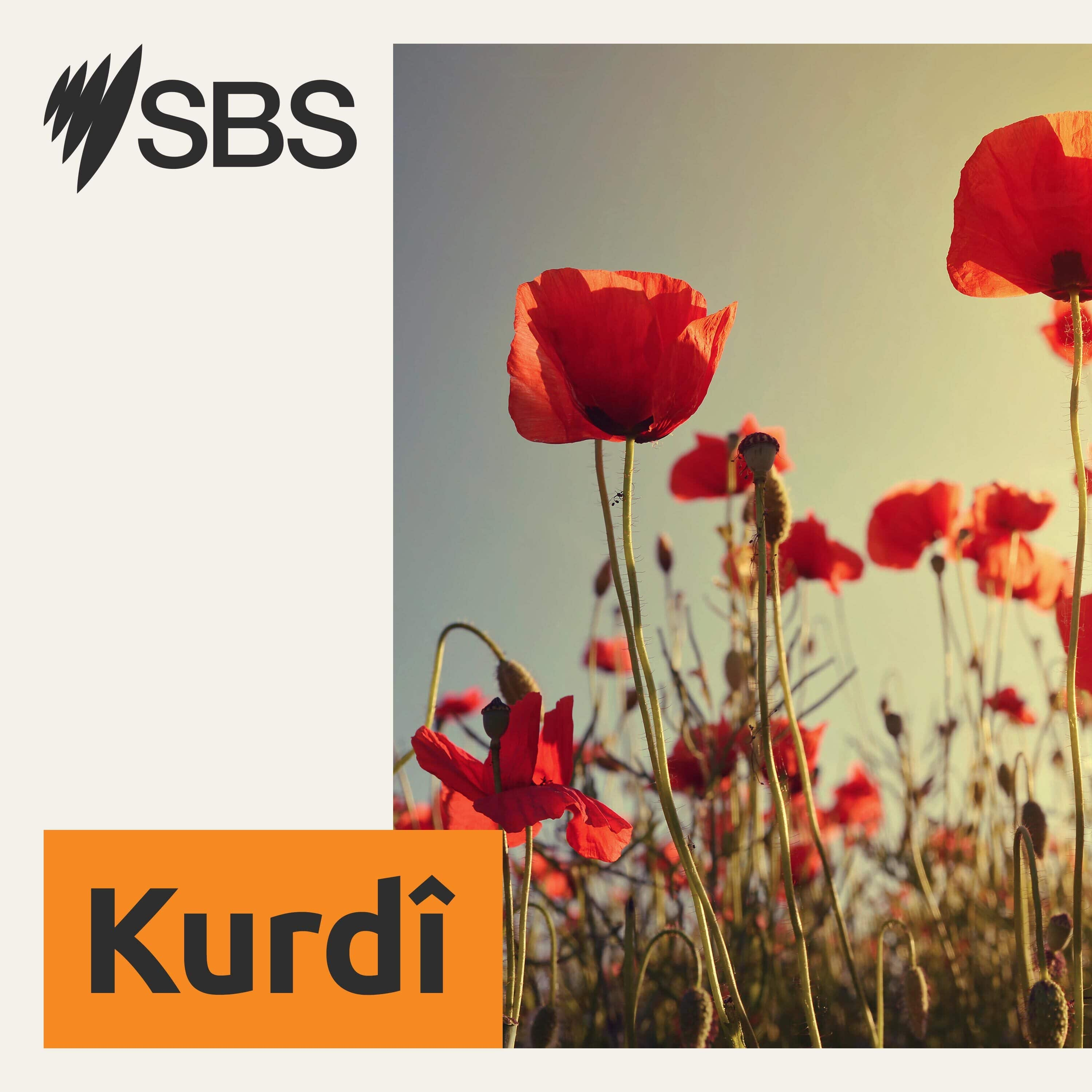 SBS Kurdish - SBS Kurdî 