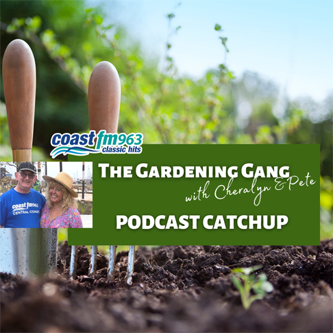 At Home with the Gardening Gang 