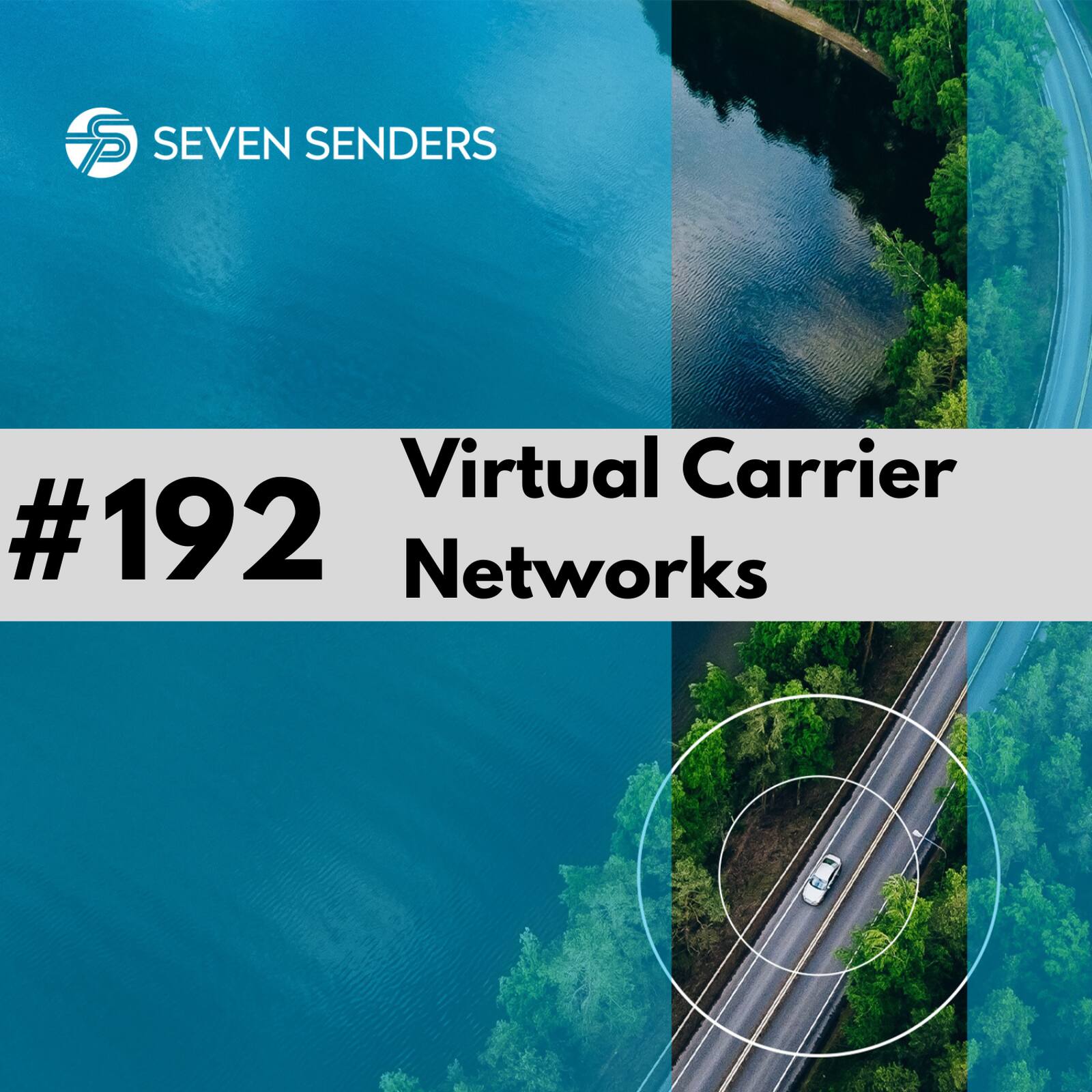 192 - Virtual Carrier Network