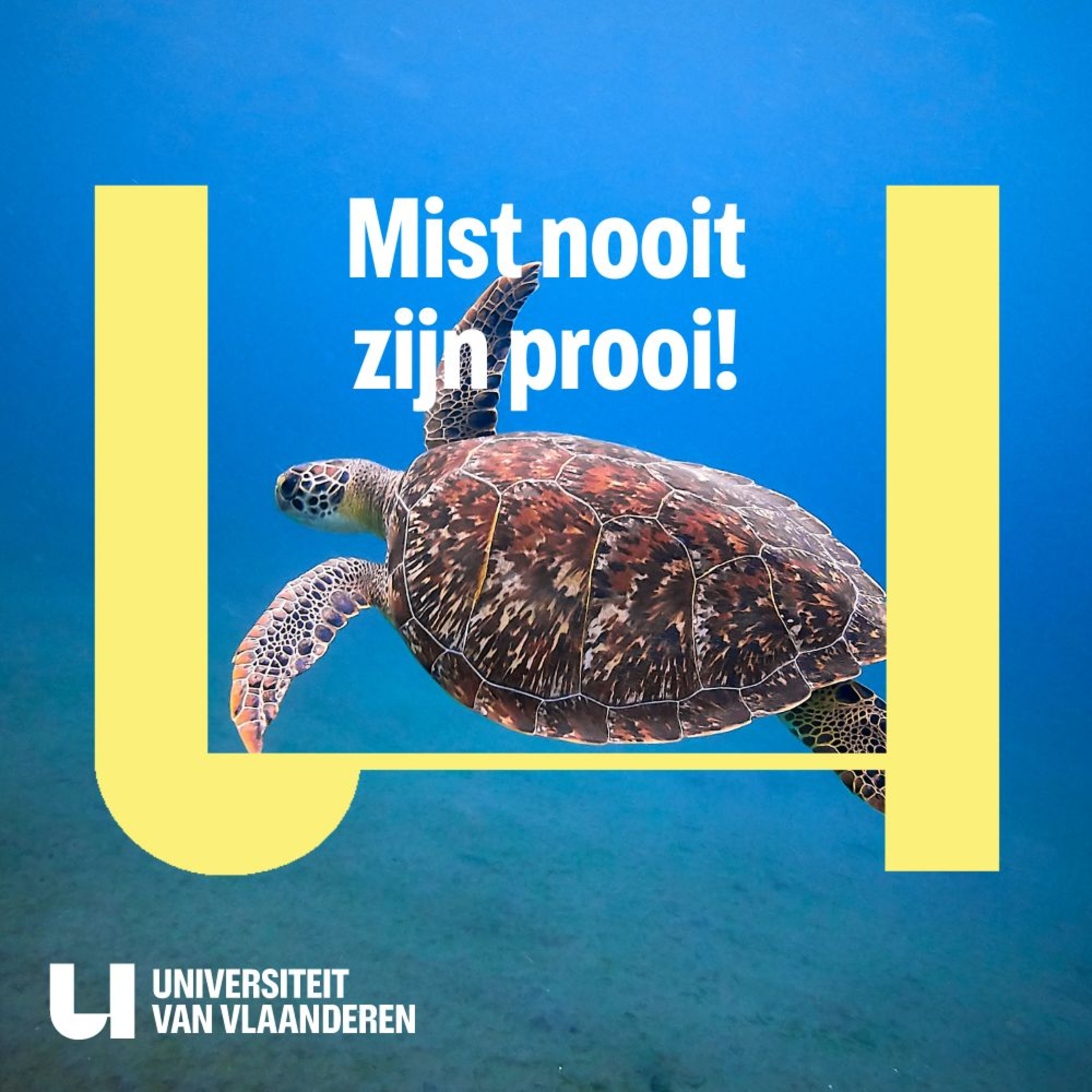 ⁣Waarom mist een waterschildpad echt (letterlijk!) nooit zijn prooi?