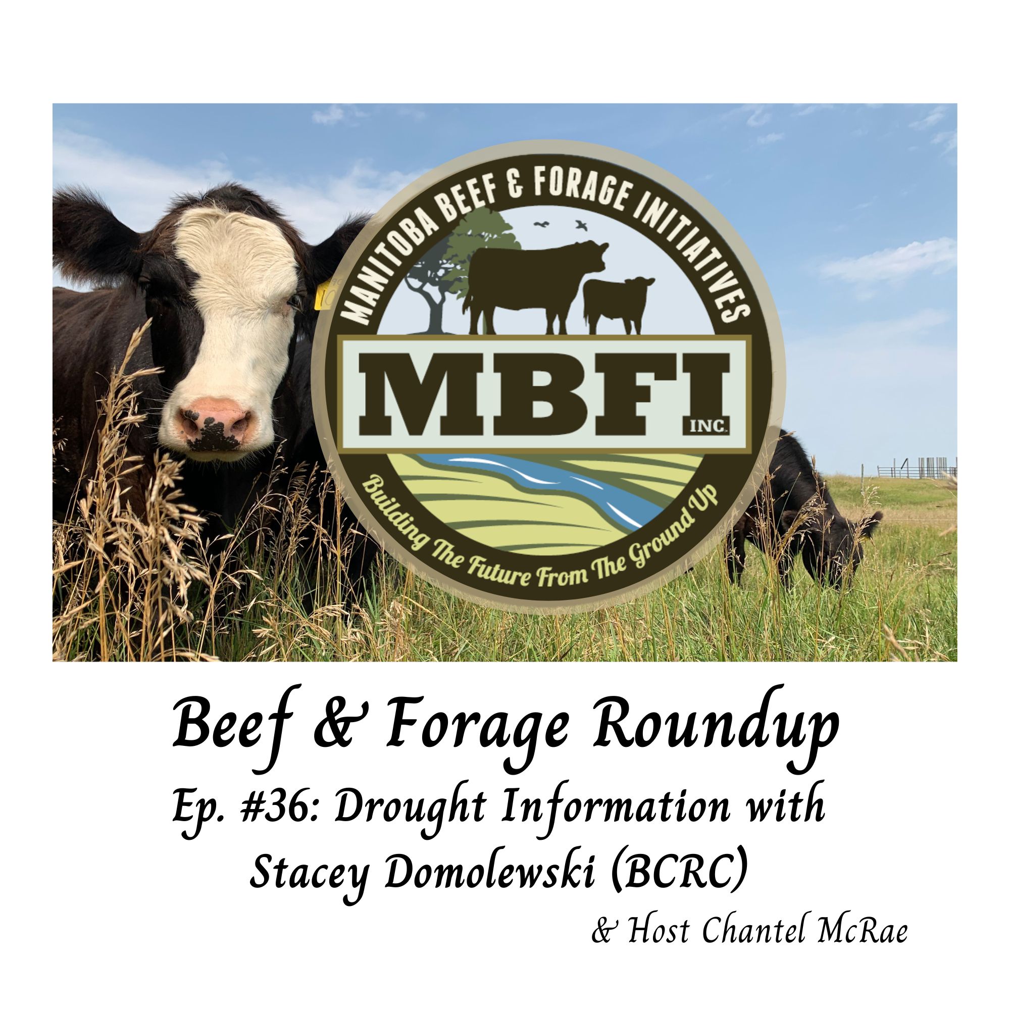 Drought Information with Stacey Domolewski (BCRC)