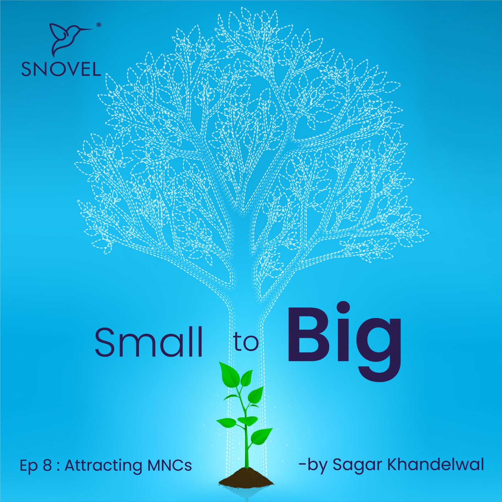 Small to Big : Attracting MNCs