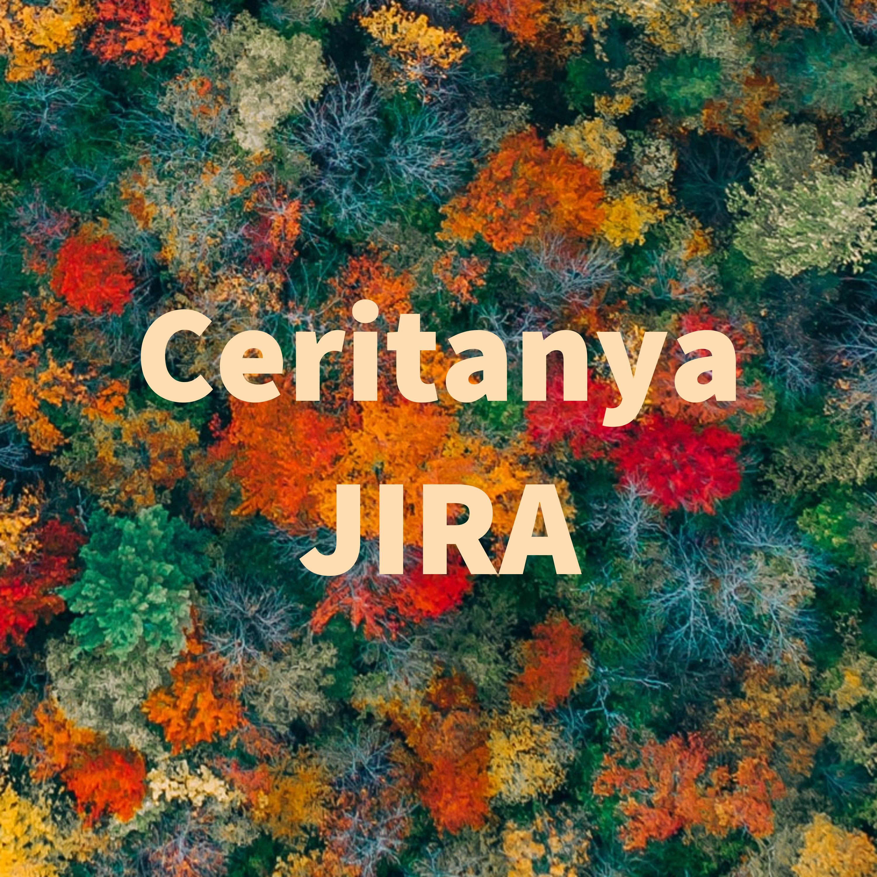 Ceritanya JIRA 