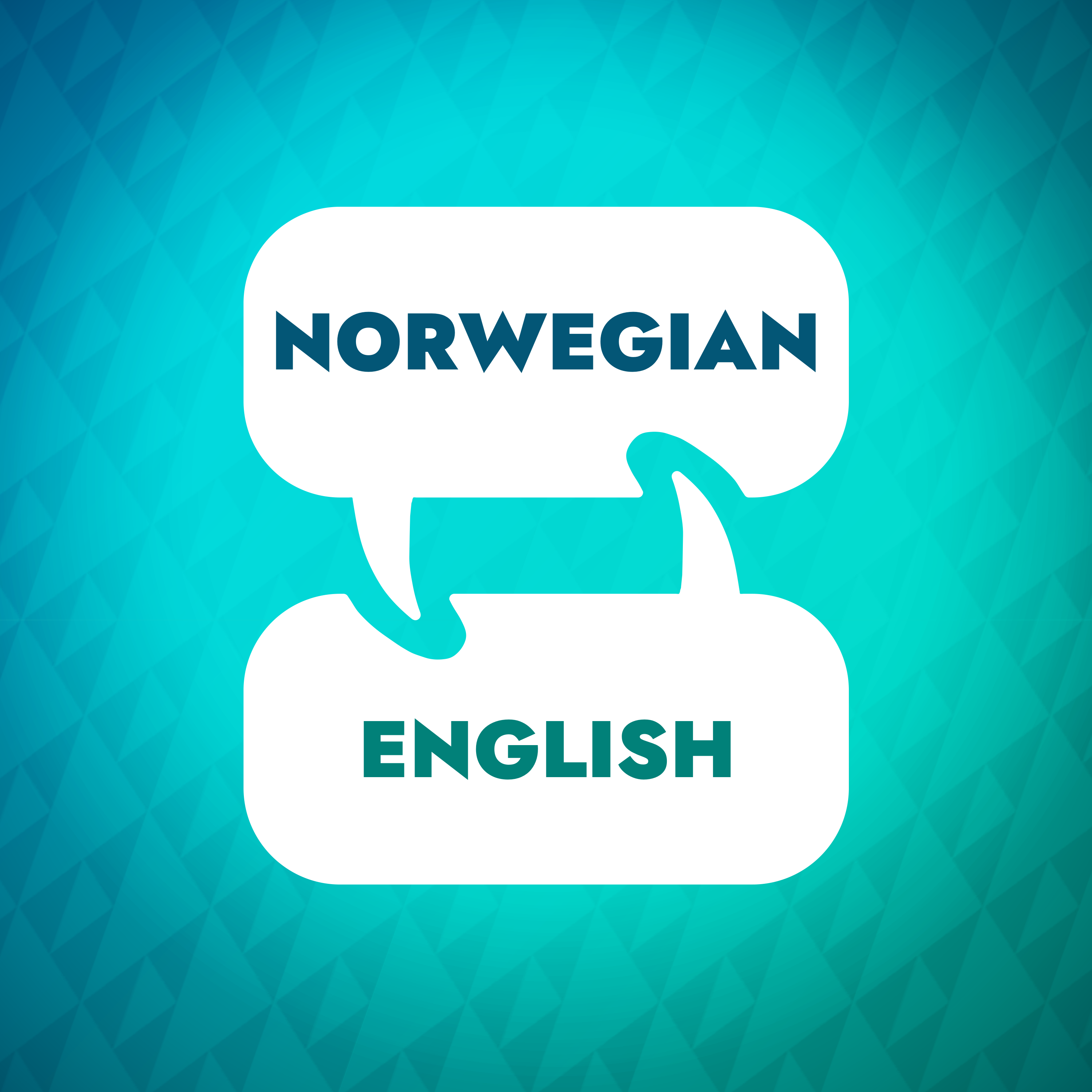 Norwegian Learning Accelerator 