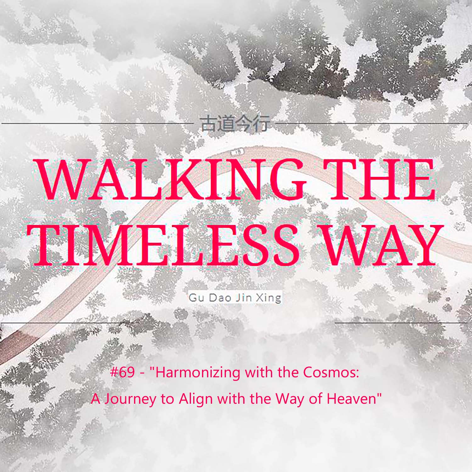 ⁣#69 - Harmonizing with the Cosmos: A Journey to Align with the Way of Heaven