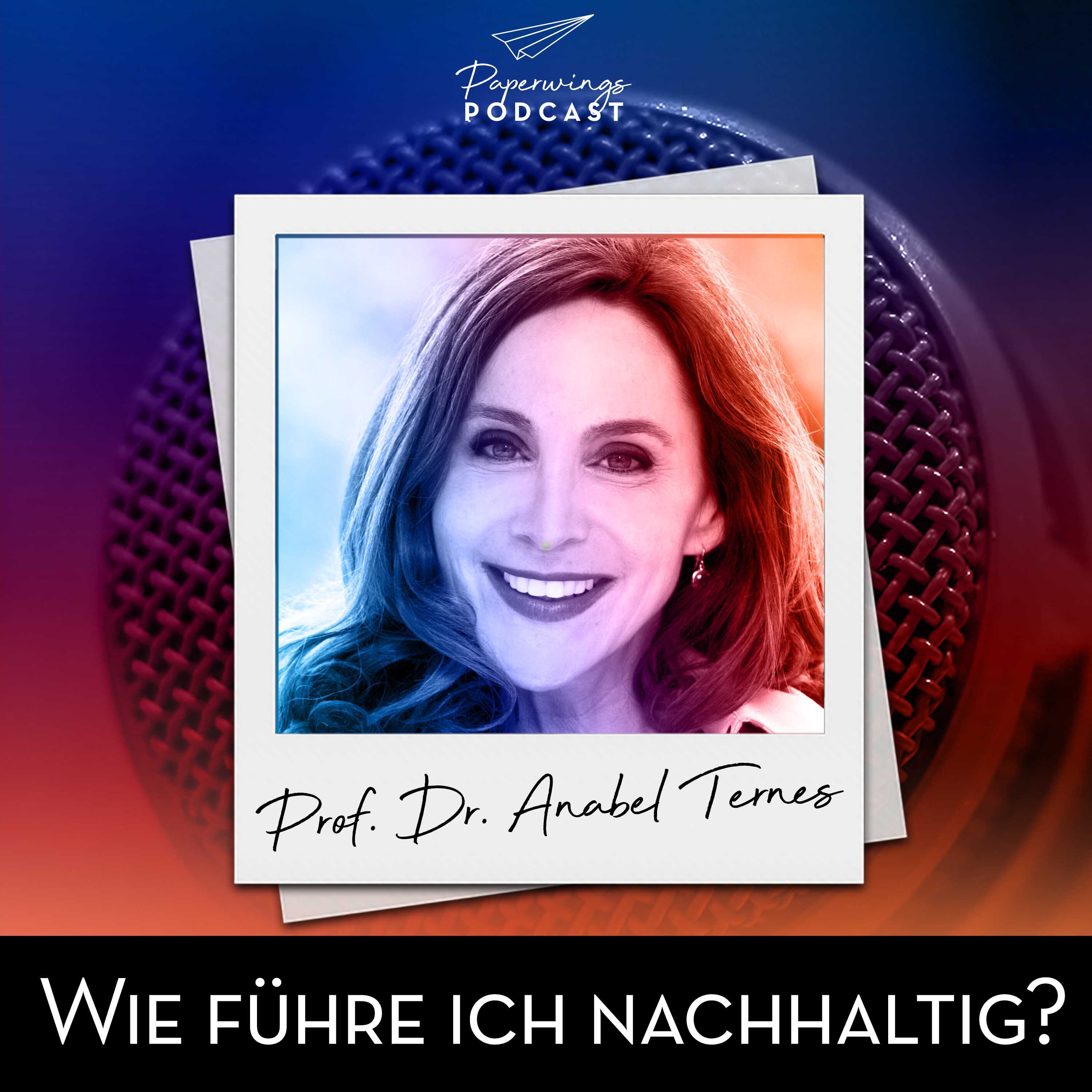 #133 "Wie führe ich nachhaltig?" - Danny Herzog-Braune im Gespräch mit Prof. Anabel Ternes von Hattburg