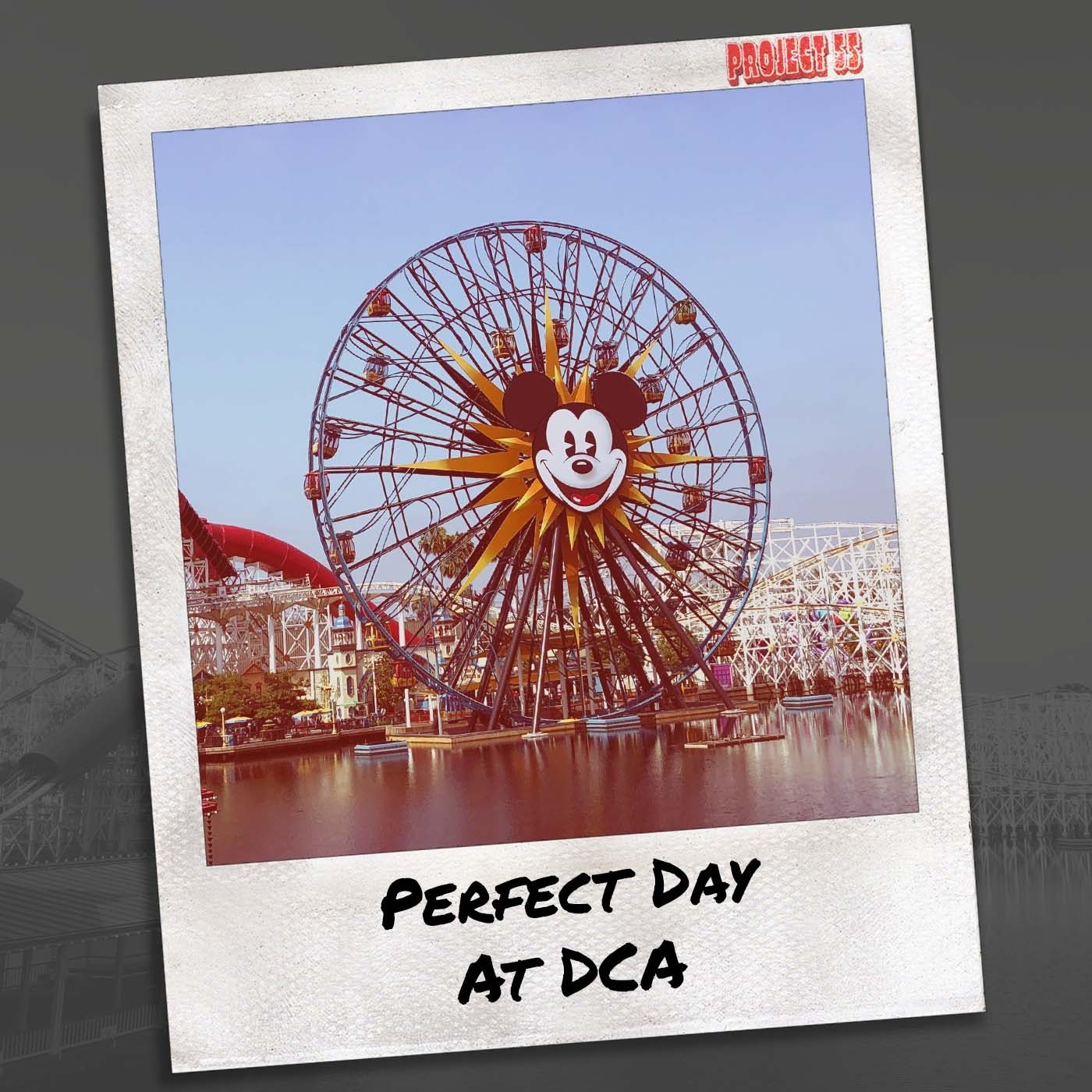 The Perfect Day at DCA