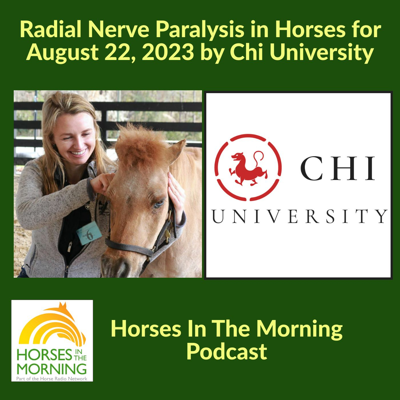 Radial Nerve Paralysis in Horses for August 22, 2023 by Chi University