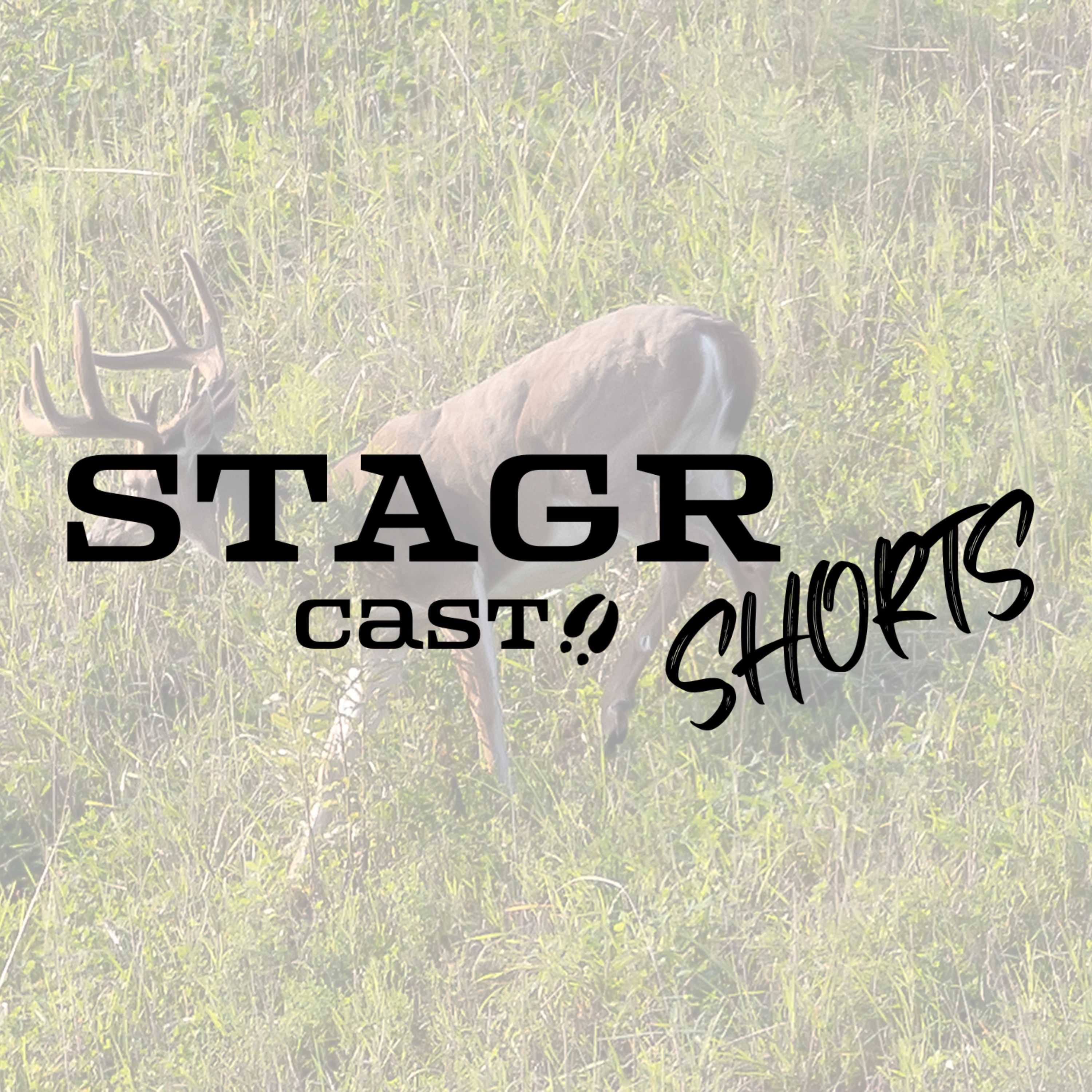 STAGR Cast Shorts: Greg Fell Through a Ceiling and Got a Crossbow, HuntStock Recap, & More