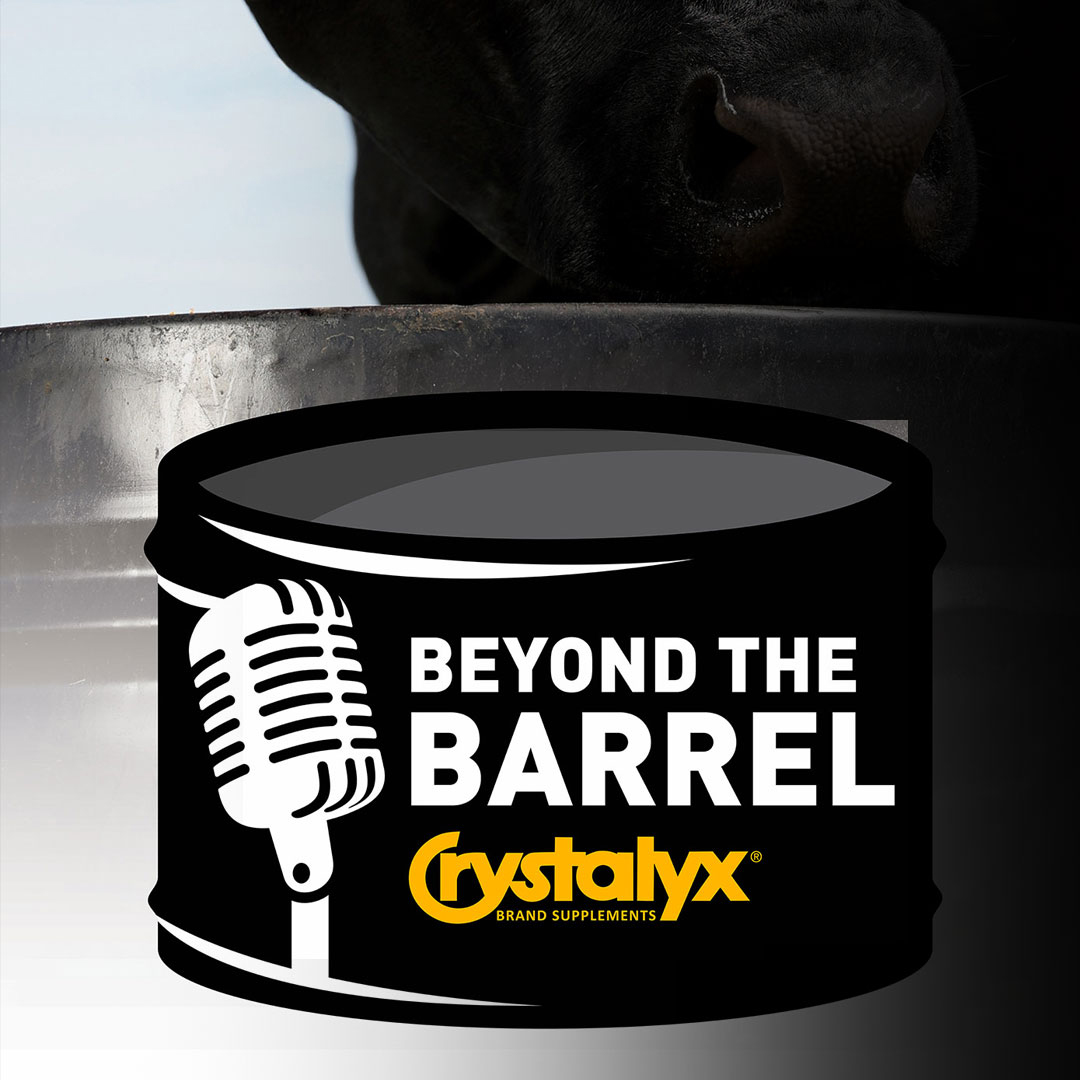 ⁣Does Crystalyx Pencil Out? Part Three