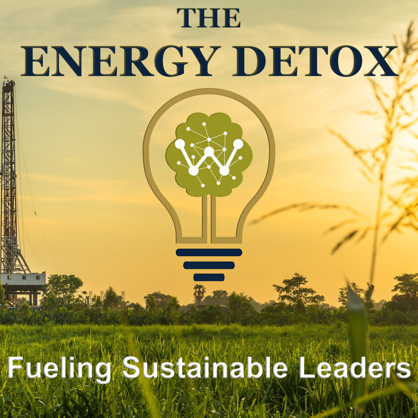 The Energy Detox 