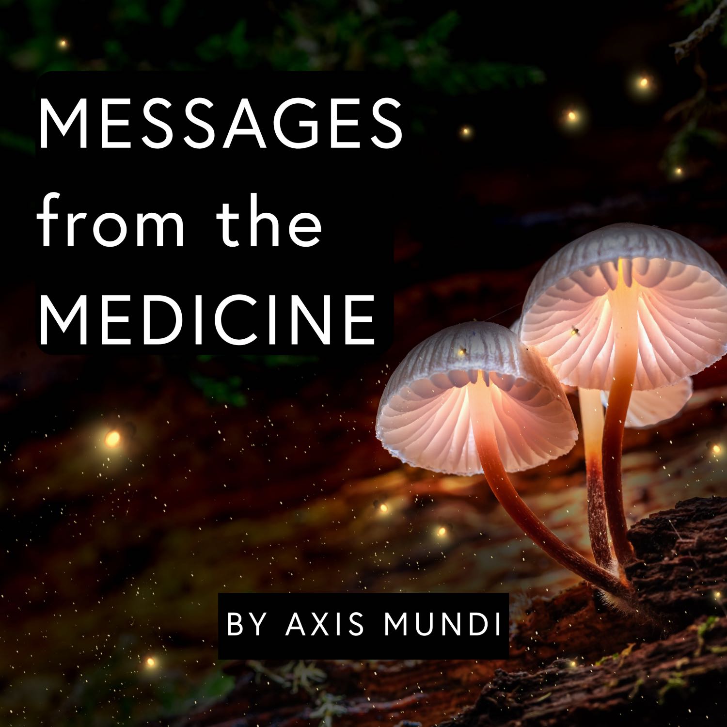 Messages from the Medicine 